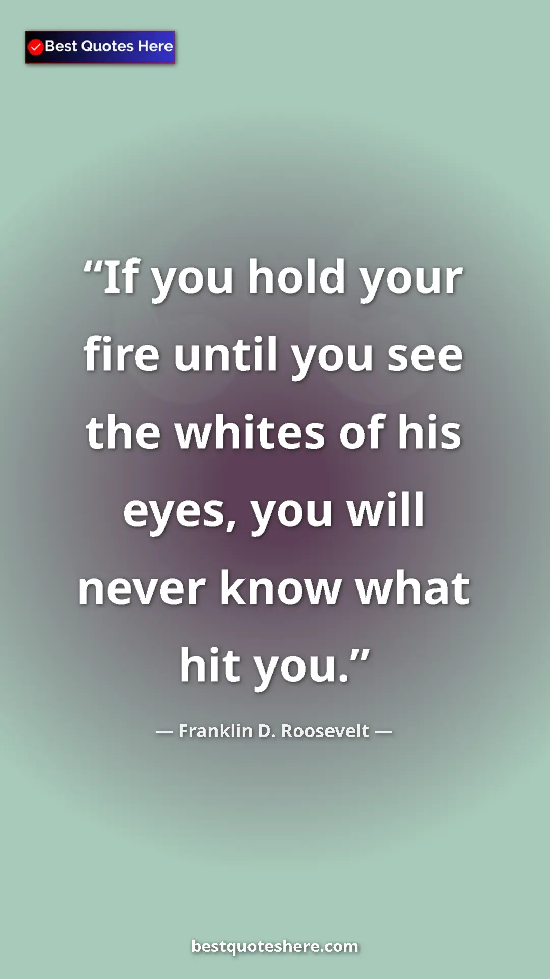 Pinterest quote poster by Franklin D. Roosevelt: "If you hold your fire until you see the whites of his eyes,..."