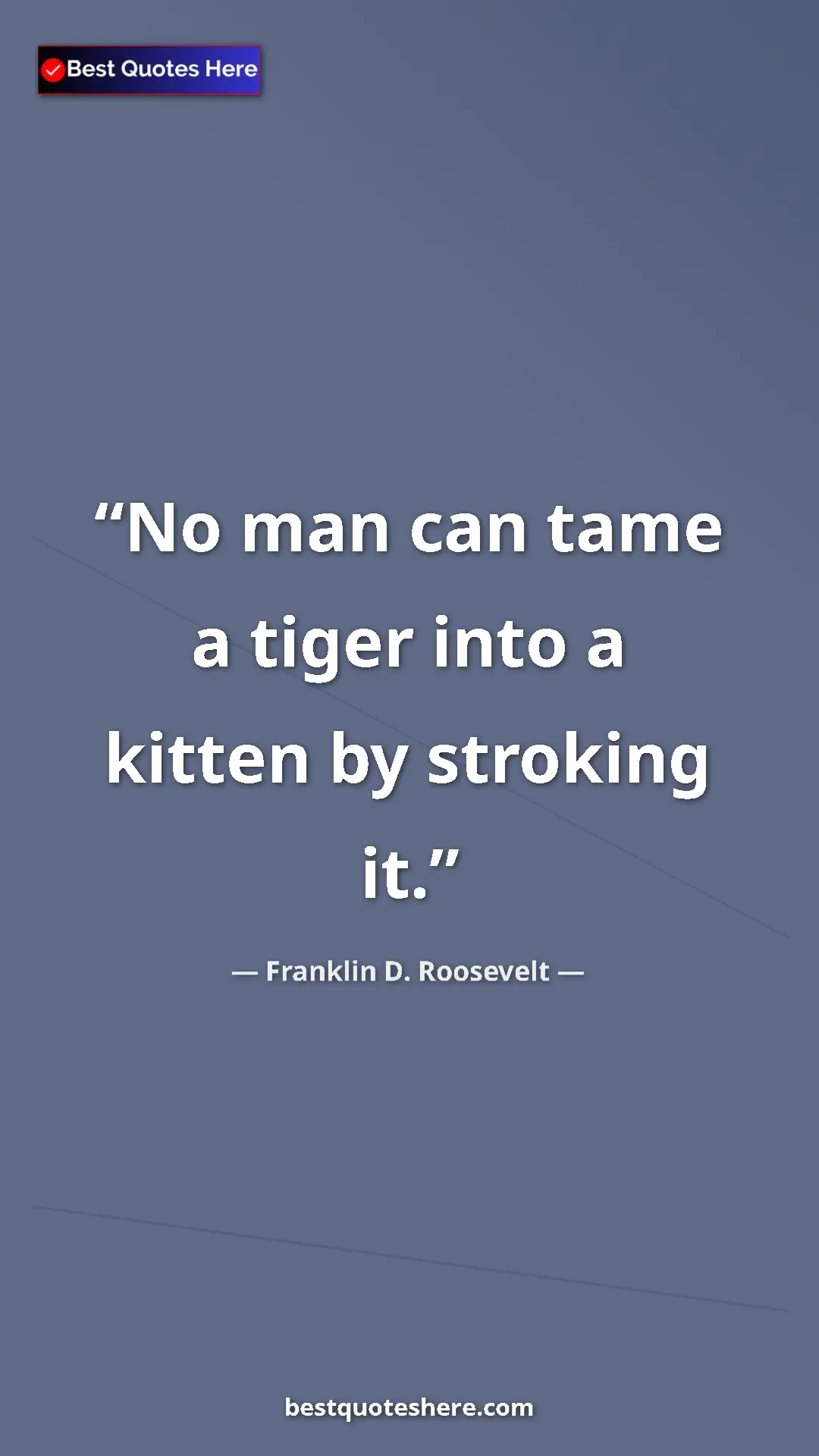 Pinterest quote poster by Franklin D. Roosevelt: "No man can tame a tiger into a kitten by stroking it."
