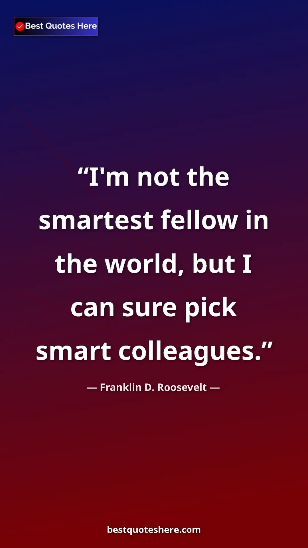 Pinterest quote poster by Franklin D. Roosevelt: "I'm not the smartest fellow in the world, but I can sure..."