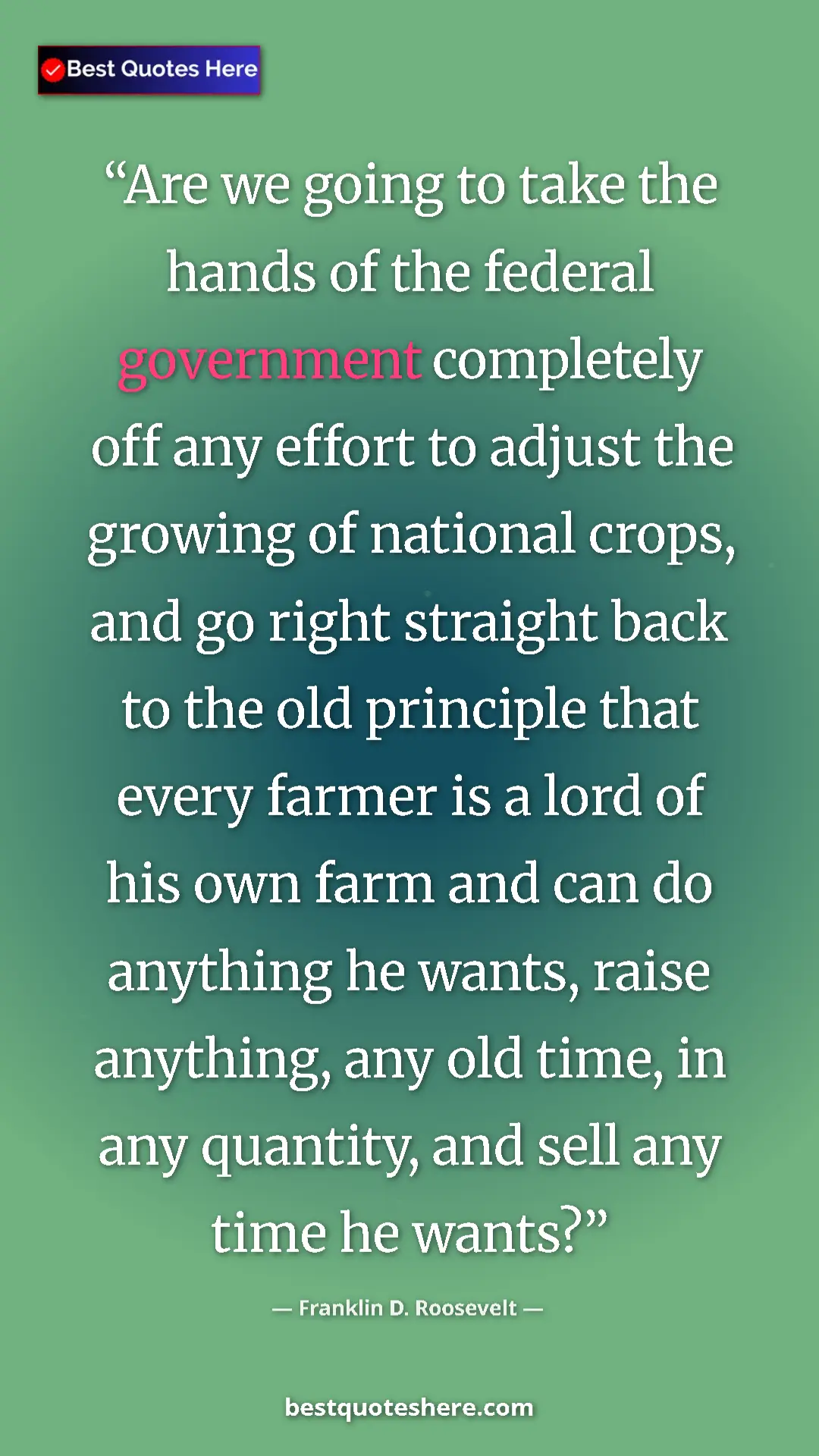 Pinterest quote poster by Franklin D. Roosevelt: "Are we going to take the hands of the federal government..."