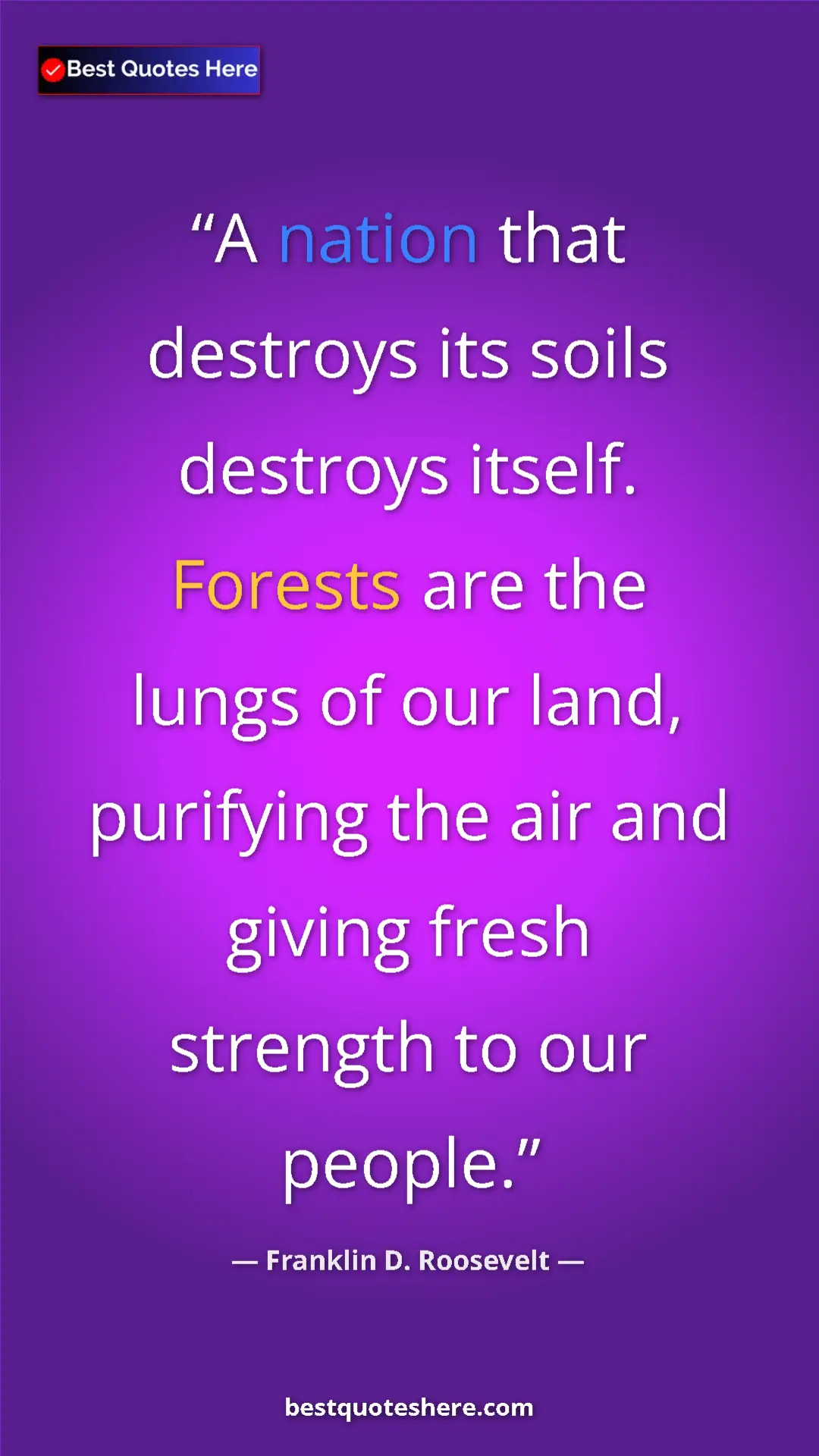 Pinterest quote poster by Franklin D. Roosevelt: "A nation that destroys its soils destroys itself. Forests..."