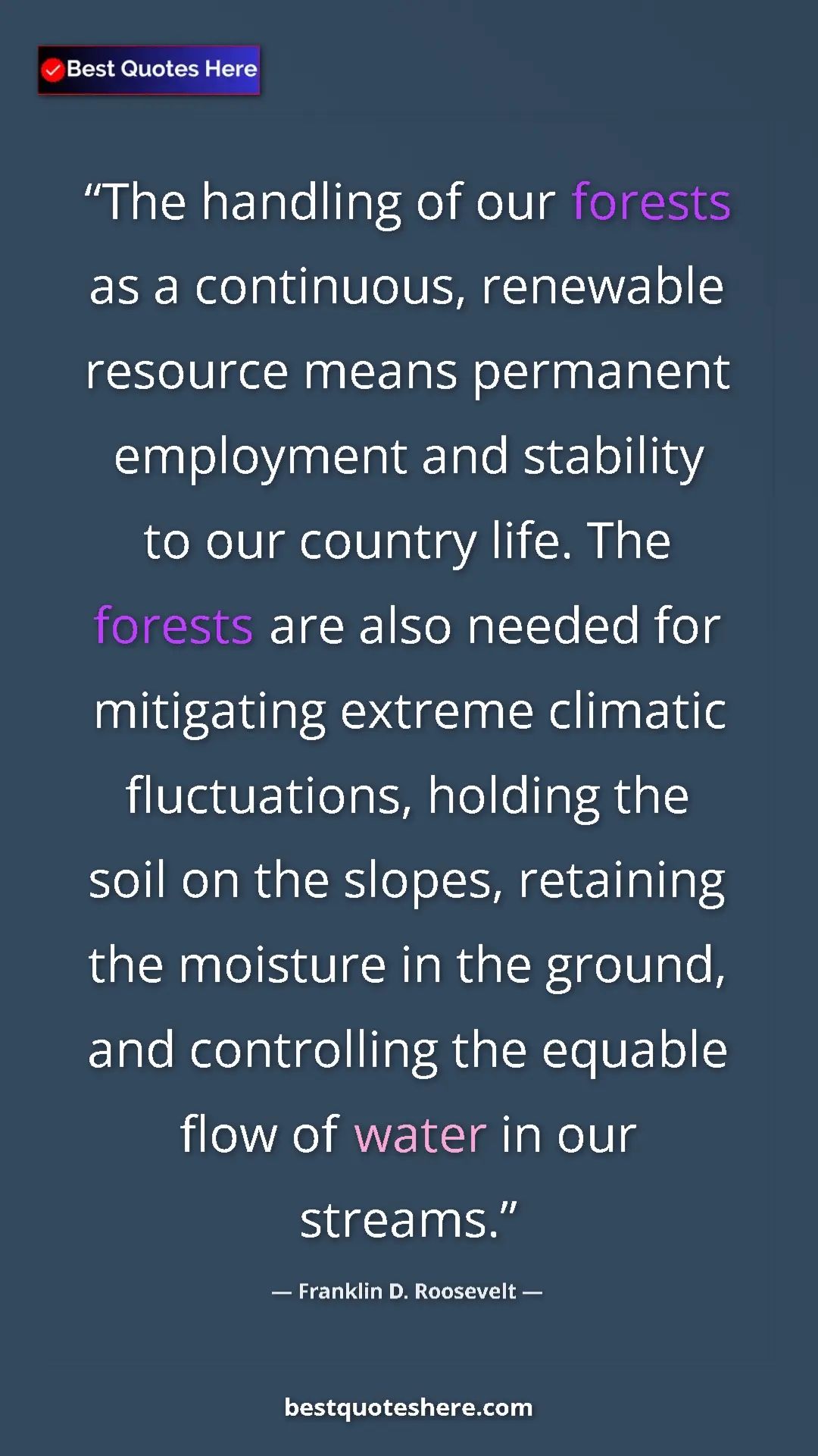 Franklin D. Roosevelt Quote Card: "The handling of our forests as a continuous, renewable..." Pinterest quote poster by Franklin D. Roosevelt: "The handling of our forests as a continuous, renewable..."