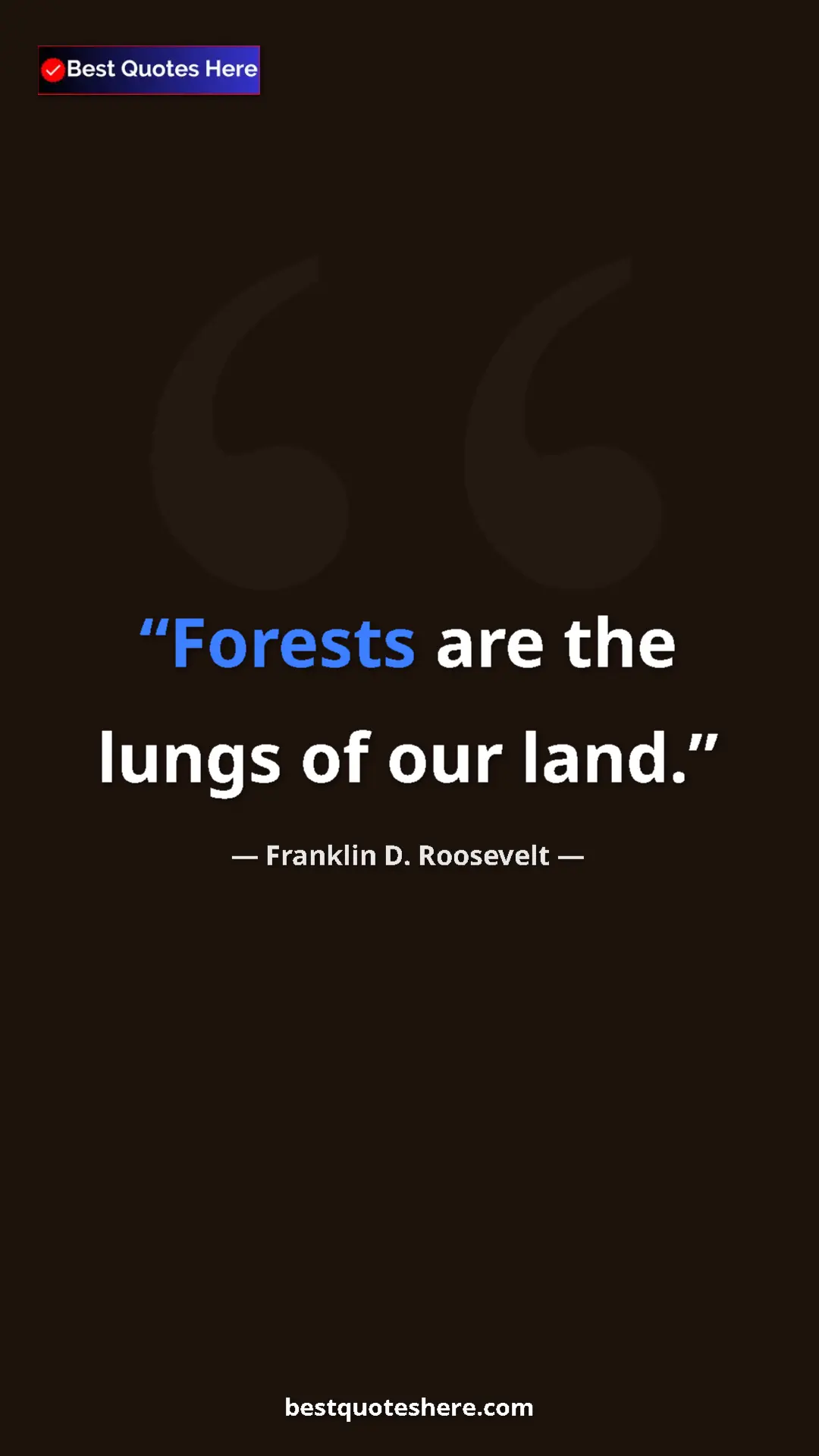 Pinterest quote poster by Franklin D. Roosevelt: "Forests are the lungs of our land."
