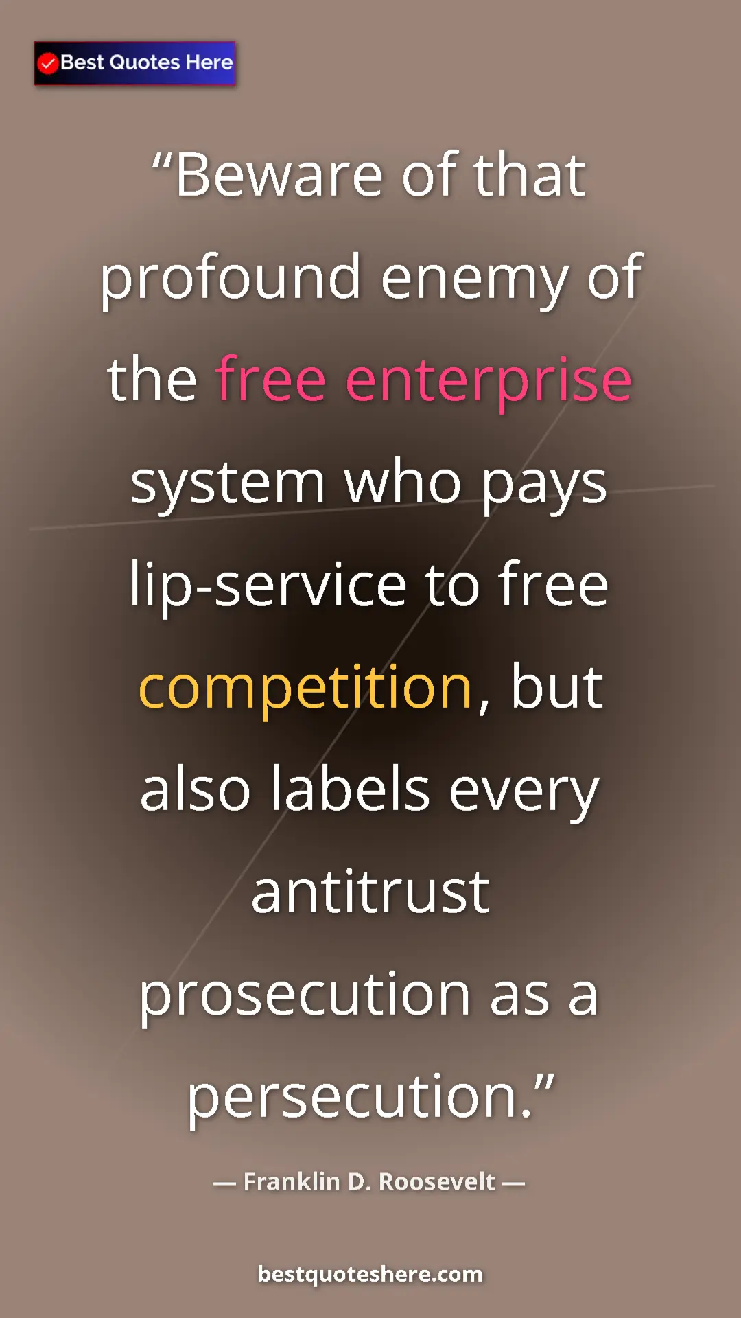 Pinterest quote poster by Franklin D. Roosevelt: "Beware of that profound enemy of the free enterprise system..."