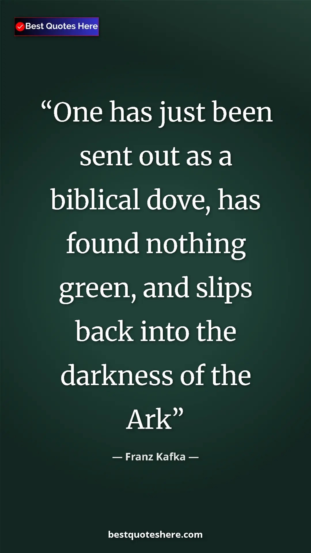 Pinterest quote poster by Franz Kafka: "One has just been sent out as a biblical dove, has found..."