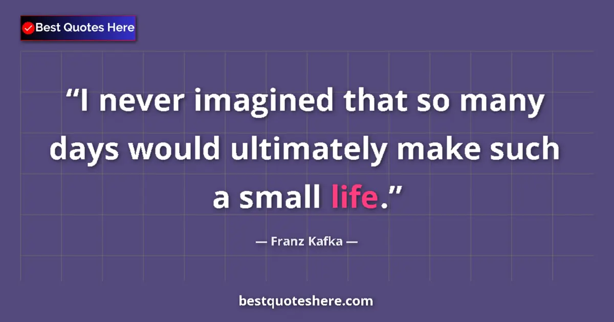 Quote by Franz Kafka: I never imagined that so many days would ultimately make such a small life....