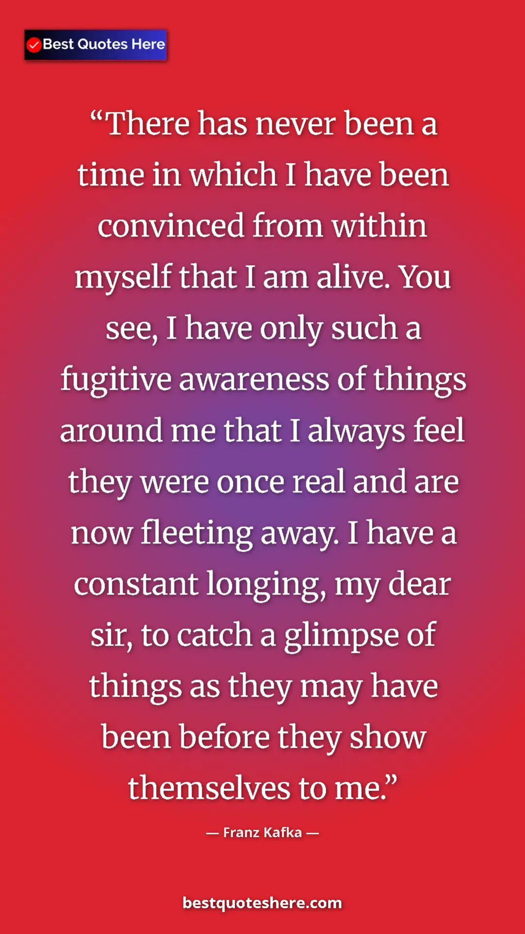 Pinterest quote poster by Franz Kafka: "There has never been a time in which I have been convinced..."