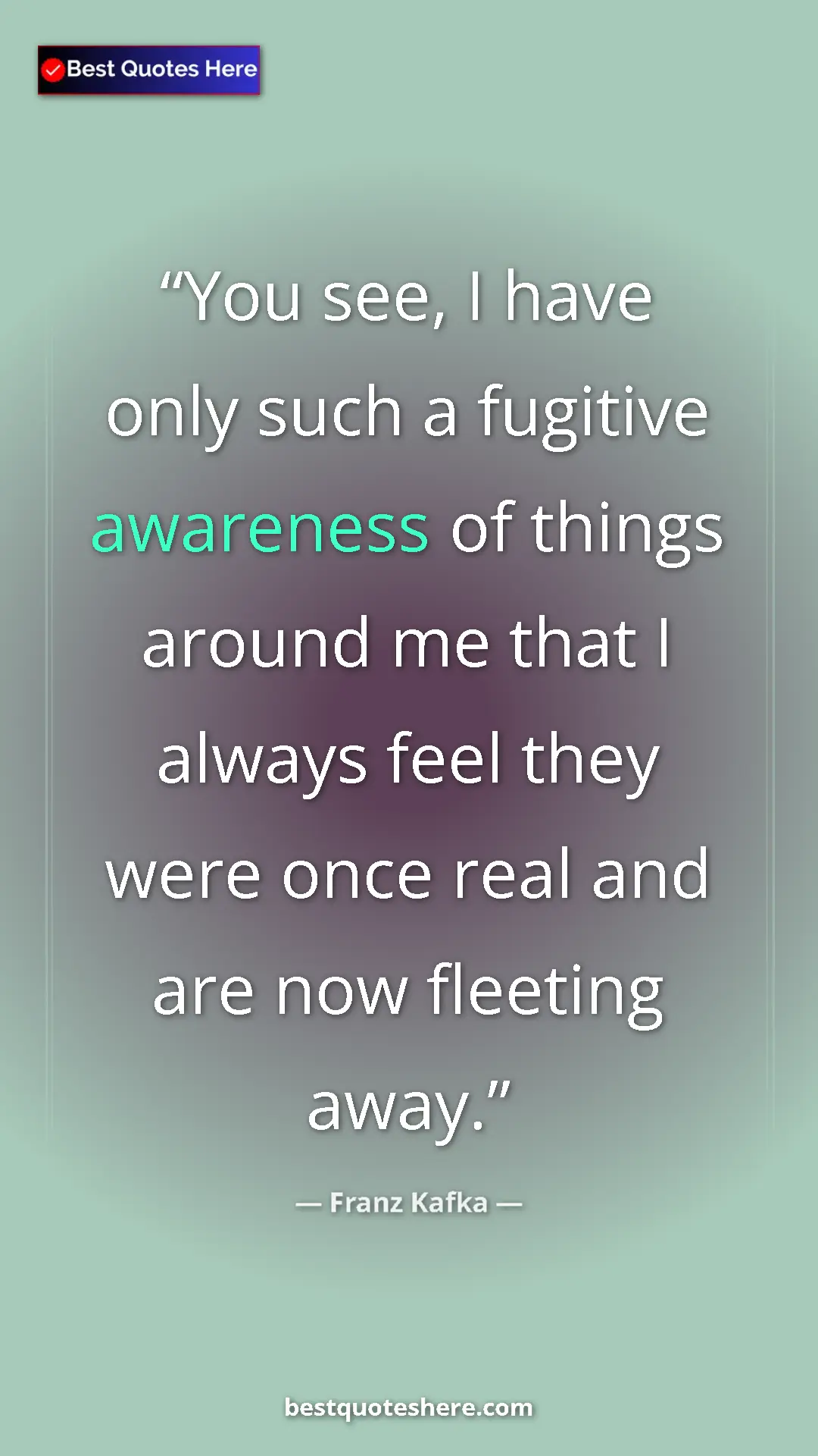 Pinterest quote poster by Franz Kafka: "You see, I have only such a fugitive awareness of things..."