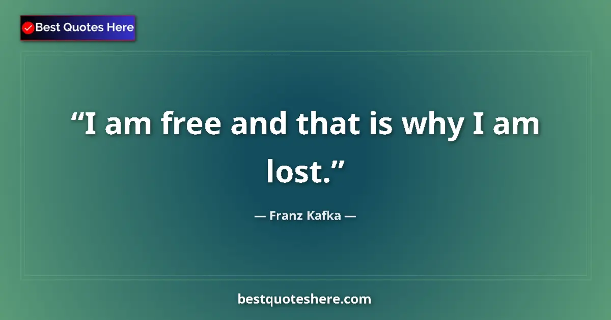 Quote by Franz Kafka: I am free and that is why I am lost....