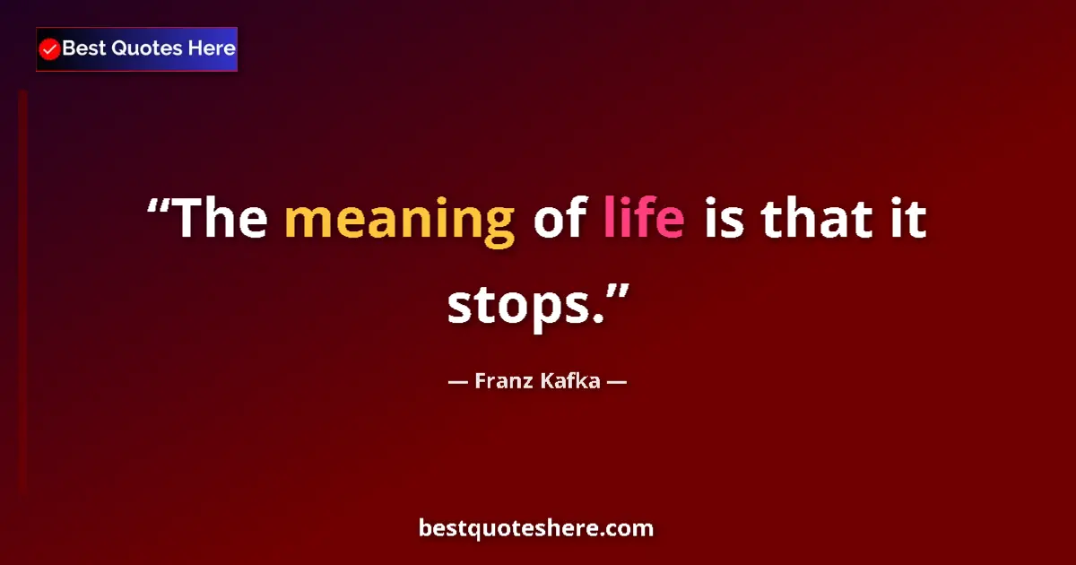 Image for the quote by Franz Kafka: The meaning of life is that it stops....