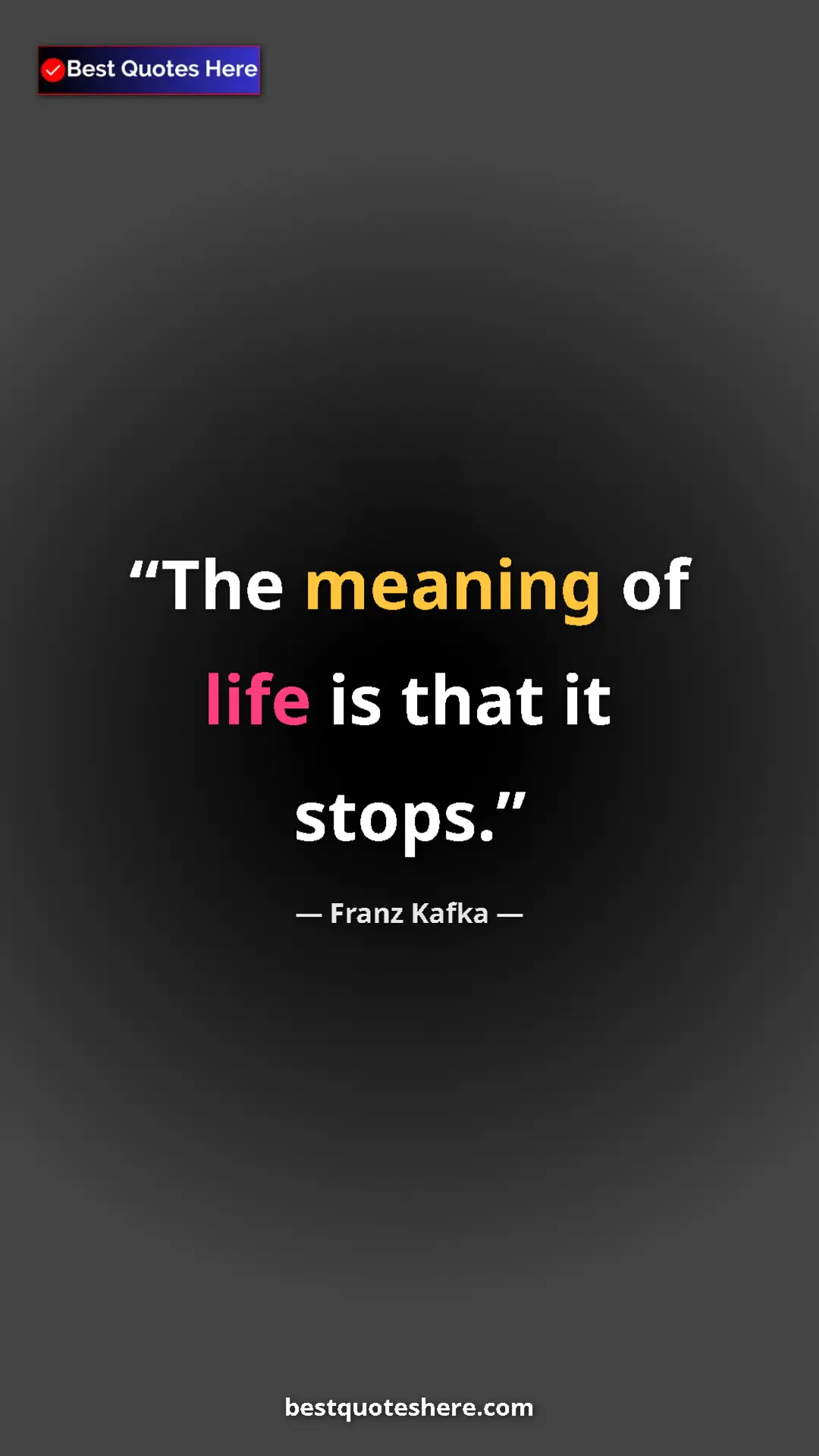 Pinterest quote poster by Franz Kafka: "The meaning of life is that it stops."