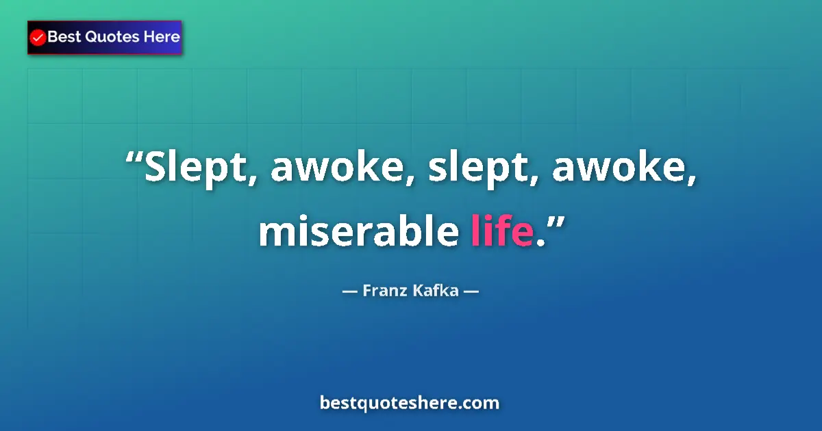 Quote by Franz Kafka: Slept, awoke, slept, awoke, miserable life....