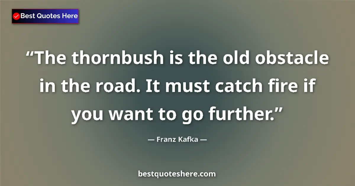 Quote by Franz Kafka: The thornbush is the old obstacle in the road. It must catch fire if you want to go further....