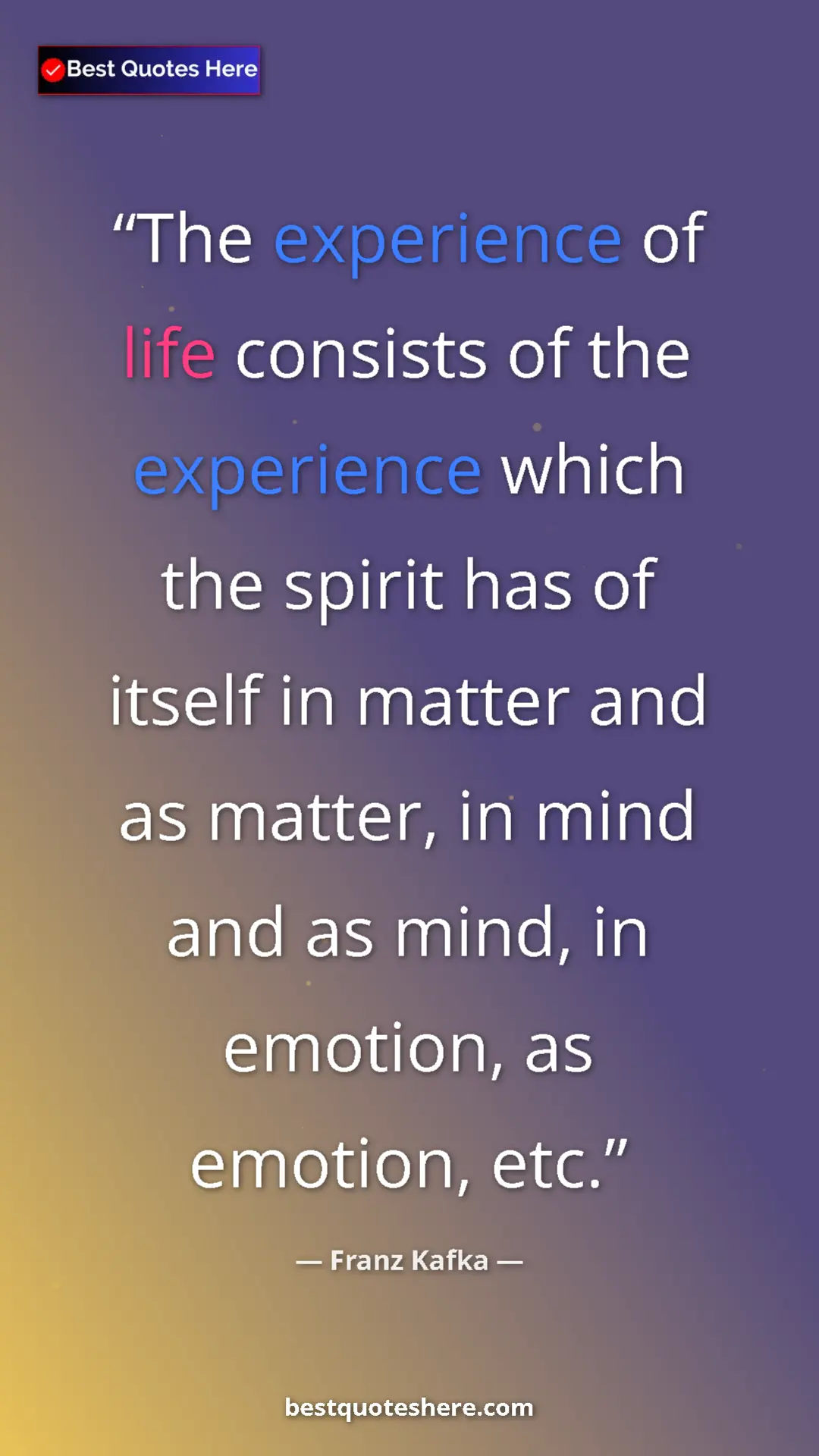 Pinterest quote poster by Franz Kafka: "The experience of life consists of the experience which the..."