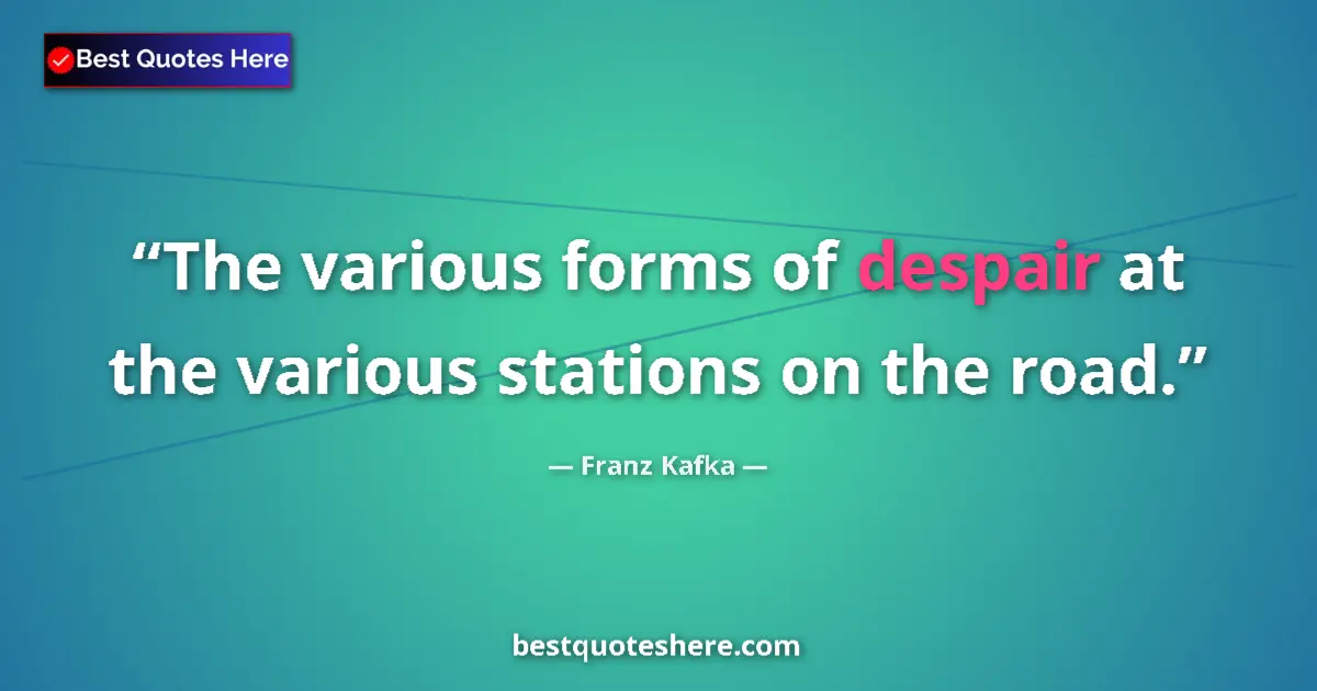 Quote by Franz Kafka: The various forms of despair at the various stations on the road....