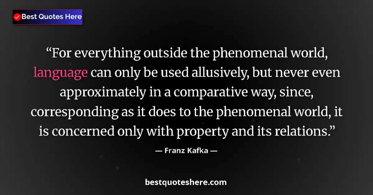 Quote by Franz Kafka: For everything outside the phenomenal world, language can only be used allusively, but never even ap...