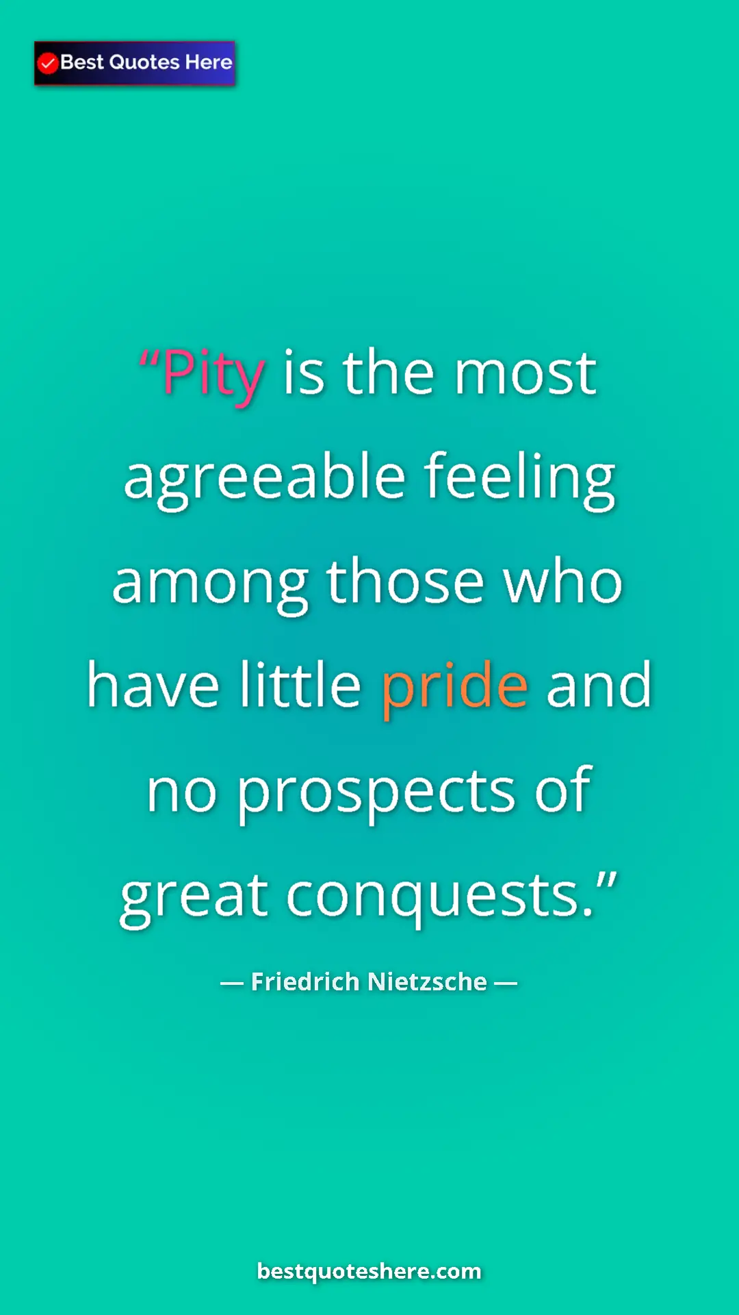 Pinterest quote poster by Friedrich Nietzsche: "Pity is the most agreeable feeling among those who have..."