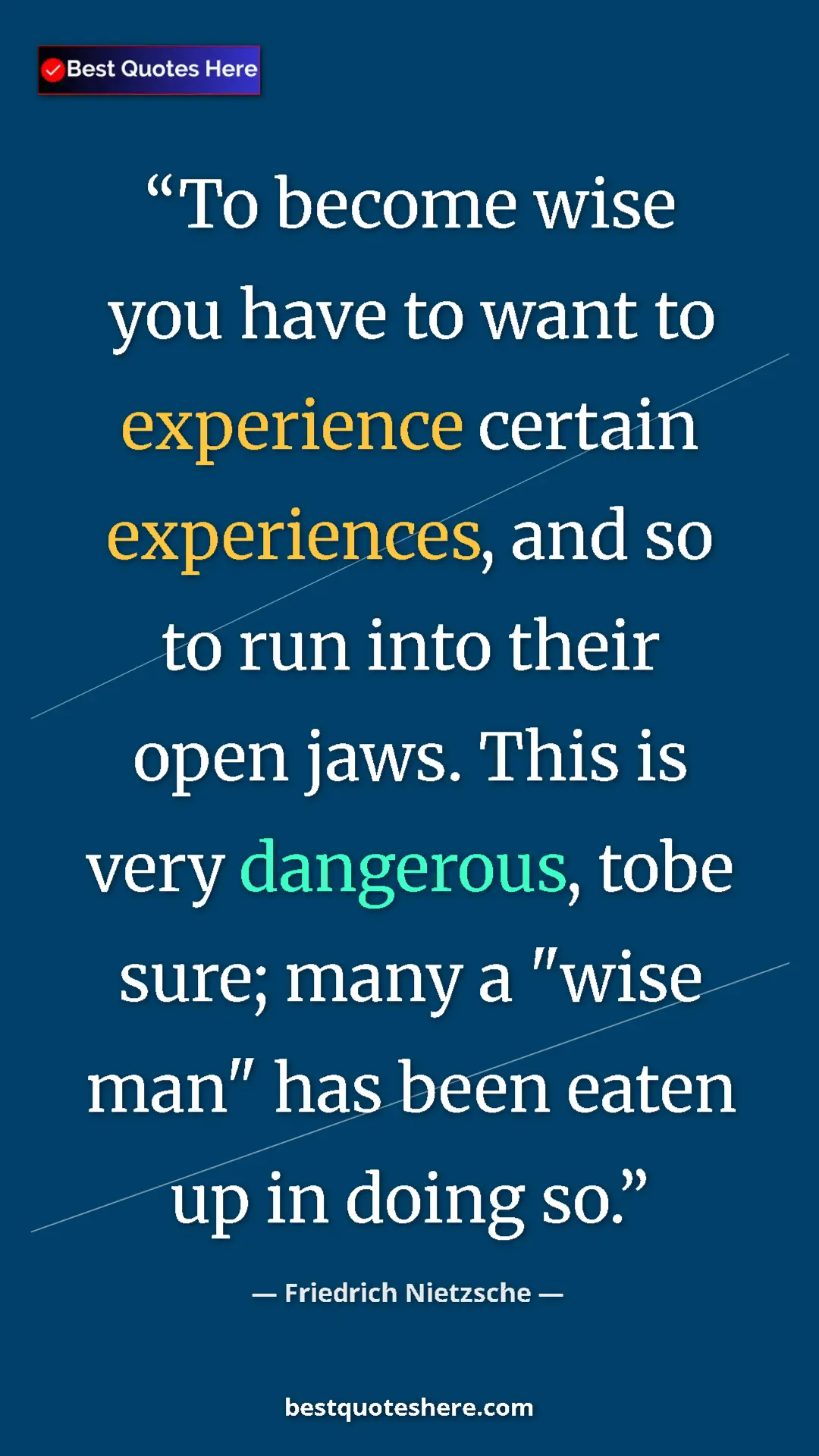 Pinterest quote poster by Friedrich Nietzsche: "To become wise you have to want to experience certain..."