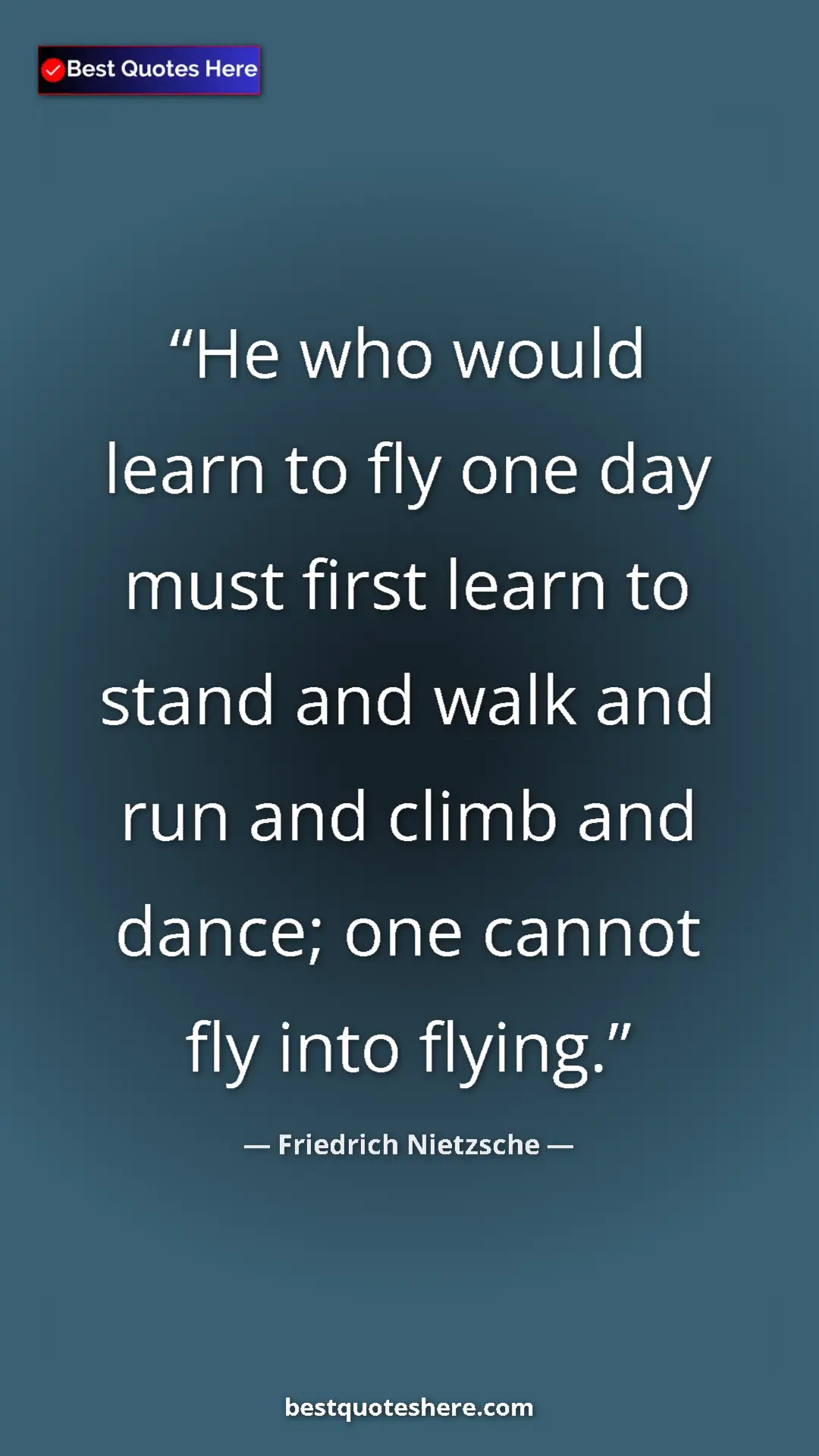 Pinterest quote poster by Friedrich Nietzsche: "He who would learn to fly one day must first learn to stand..."