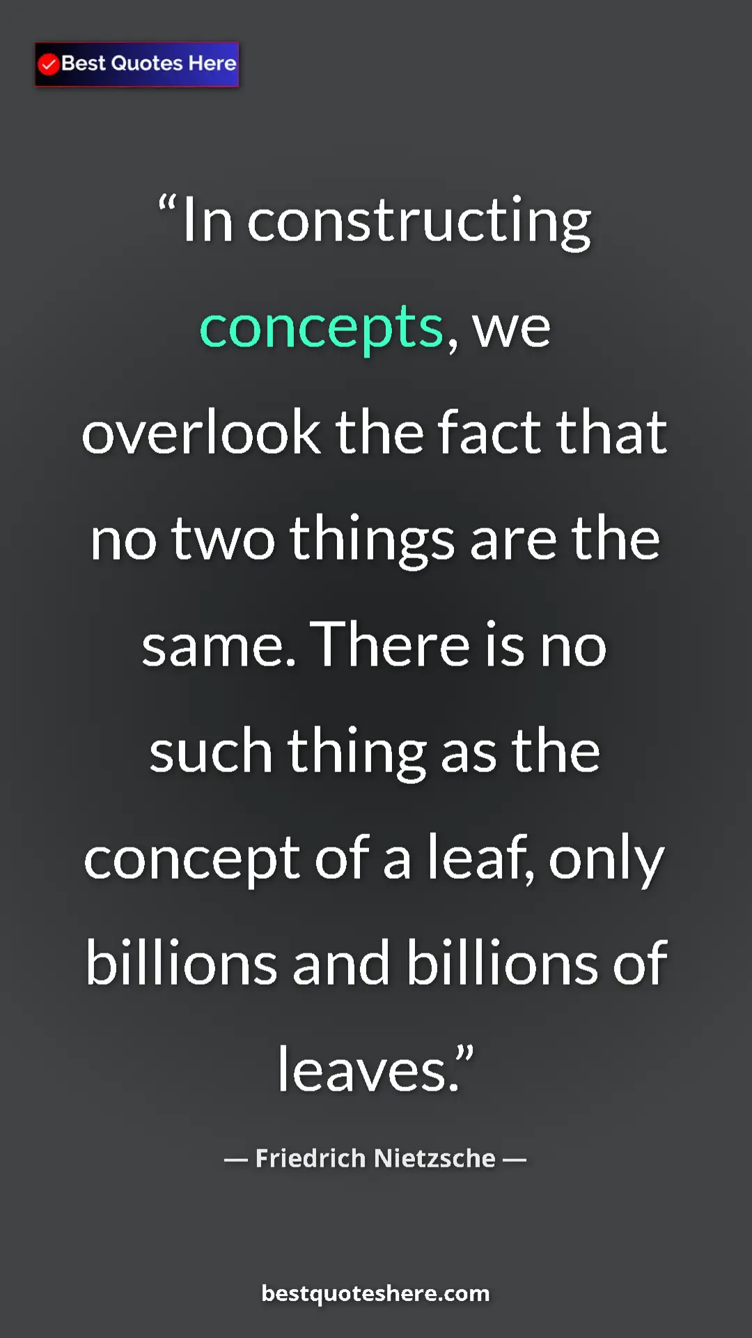 Pinterest quote poster by Friedrich Nietzsche: "In constructing concepts, we overlook the fact that no two..."