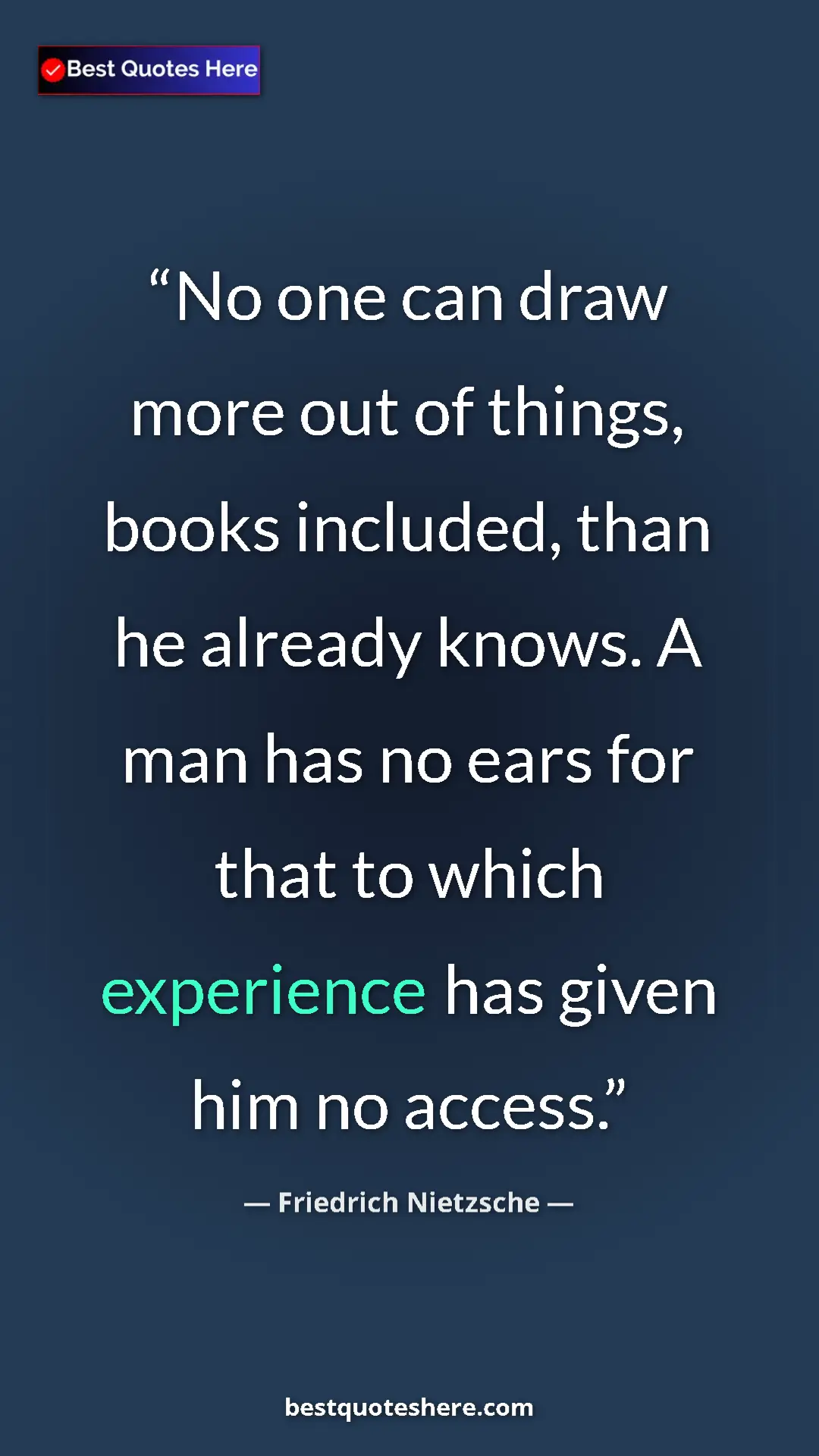 Pinterest quote poster by Friedrich Nietzsche: "No one can draw more out of things, books included, than he..."