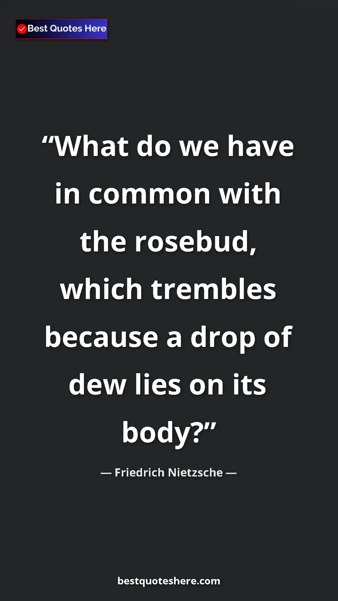 Pinterest quote poster by Friedrich Nietzsche: "What do we have in common with the rosebud, which trembles..."