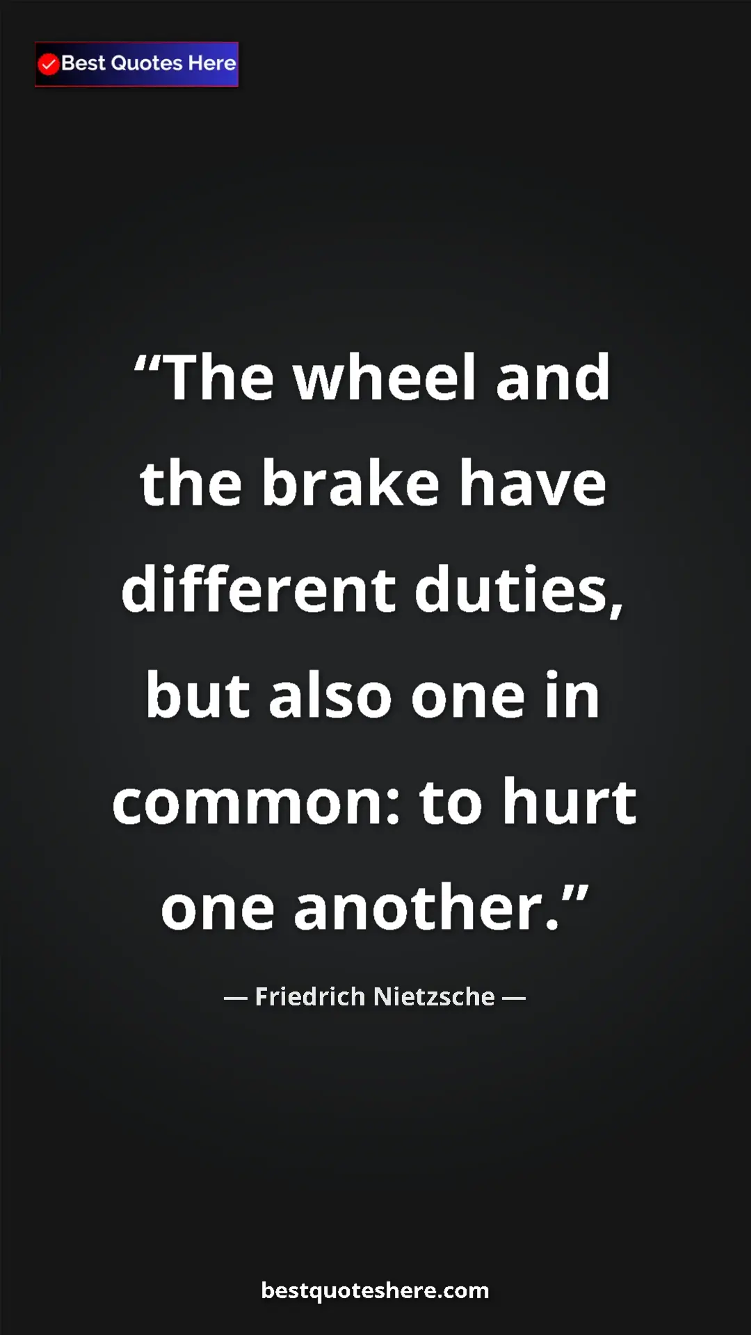 Pinterest quote poster by Friedrich Nietzsche: "The wheel and the brake have different duties, but also one..."