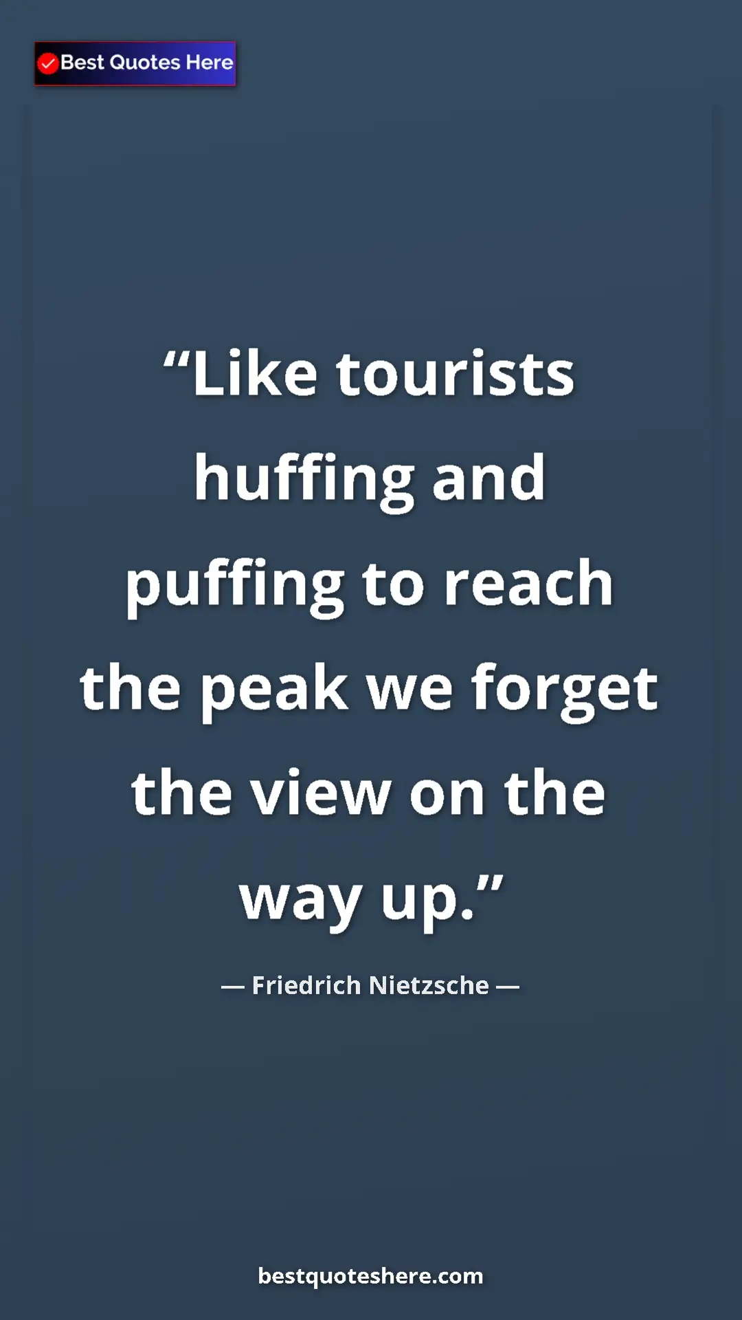 Pinterest quote poster by Friedrich Nietzsche: "Like tourists huffing and puffing to reach the peak we..."