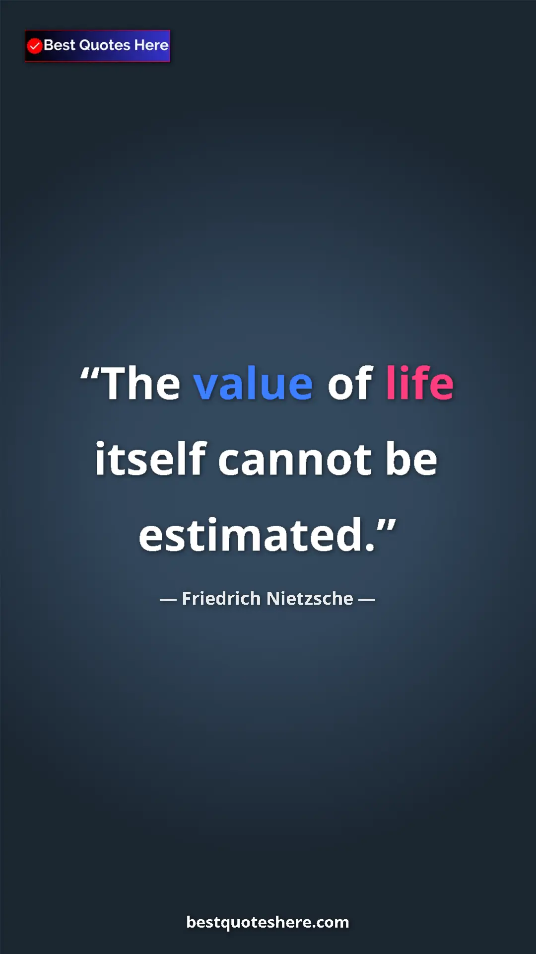 Pinterest quote poster by Friedrich Nietzsche: "The value of life itself cannot be estimated."