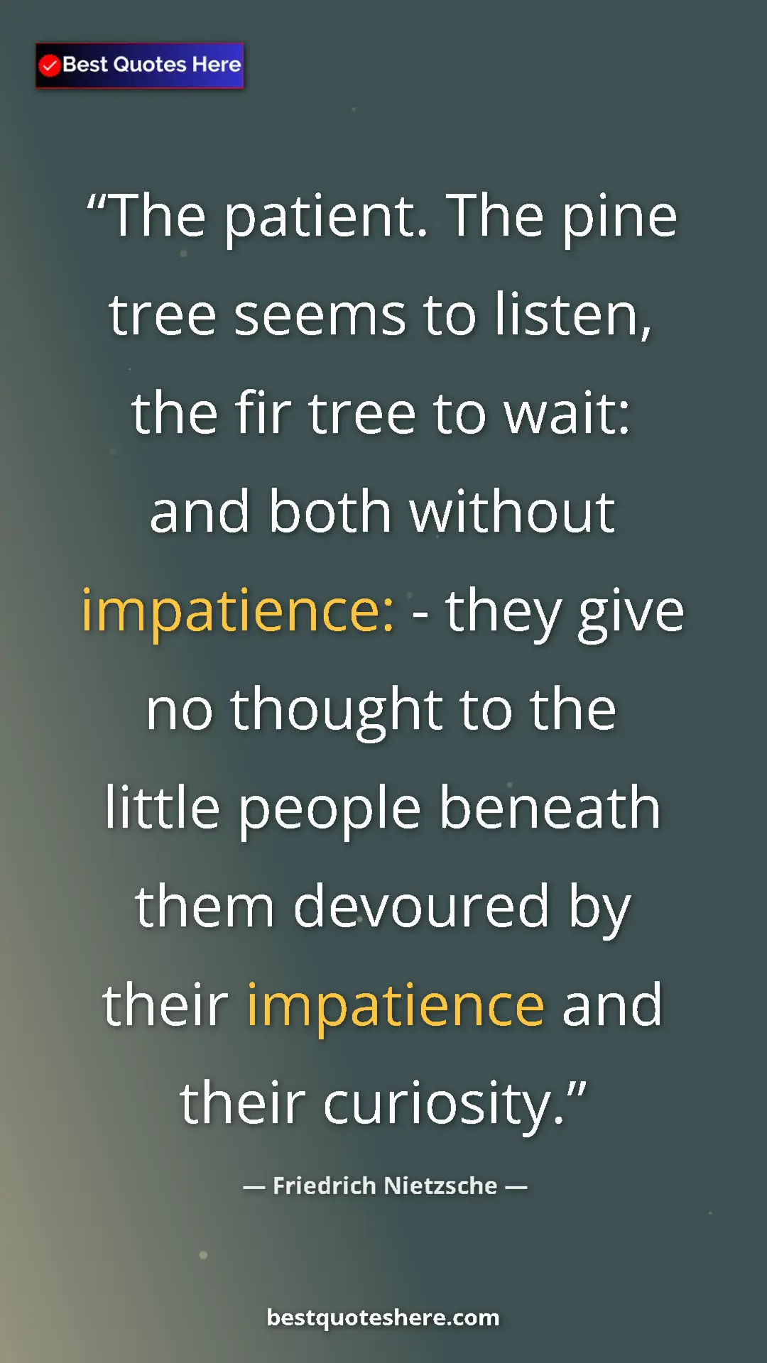 Friedrich Nietzsche Quote Card: "The patient. The pine tree seems to listen, the fir tree to..." Pinterest quote poster by Friedrich Nietzsche: "The patient. The pine tree seems to listen, the fir tree to..."