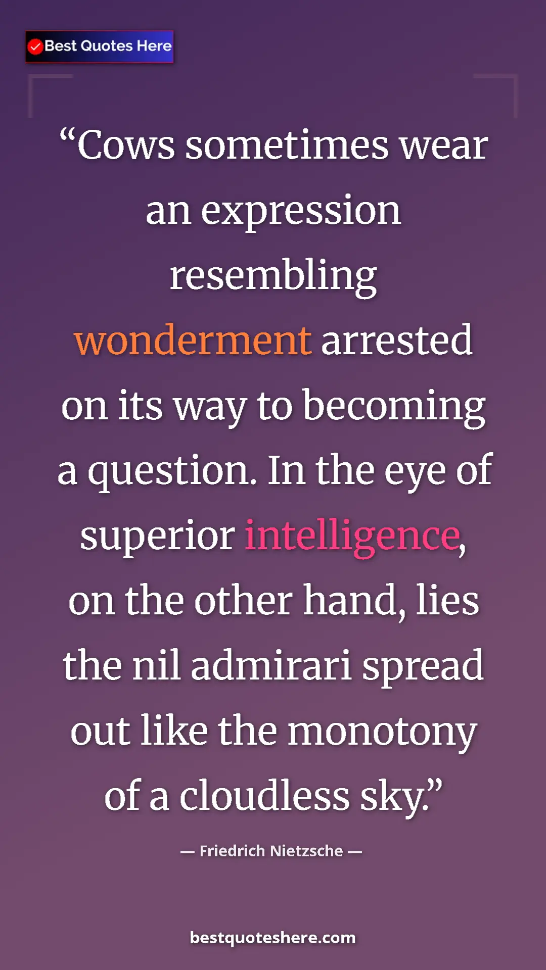 Pinterest quote poster by Friedrich Nietzsche: "Cows sometimes wear an expression resembling wonderment..."