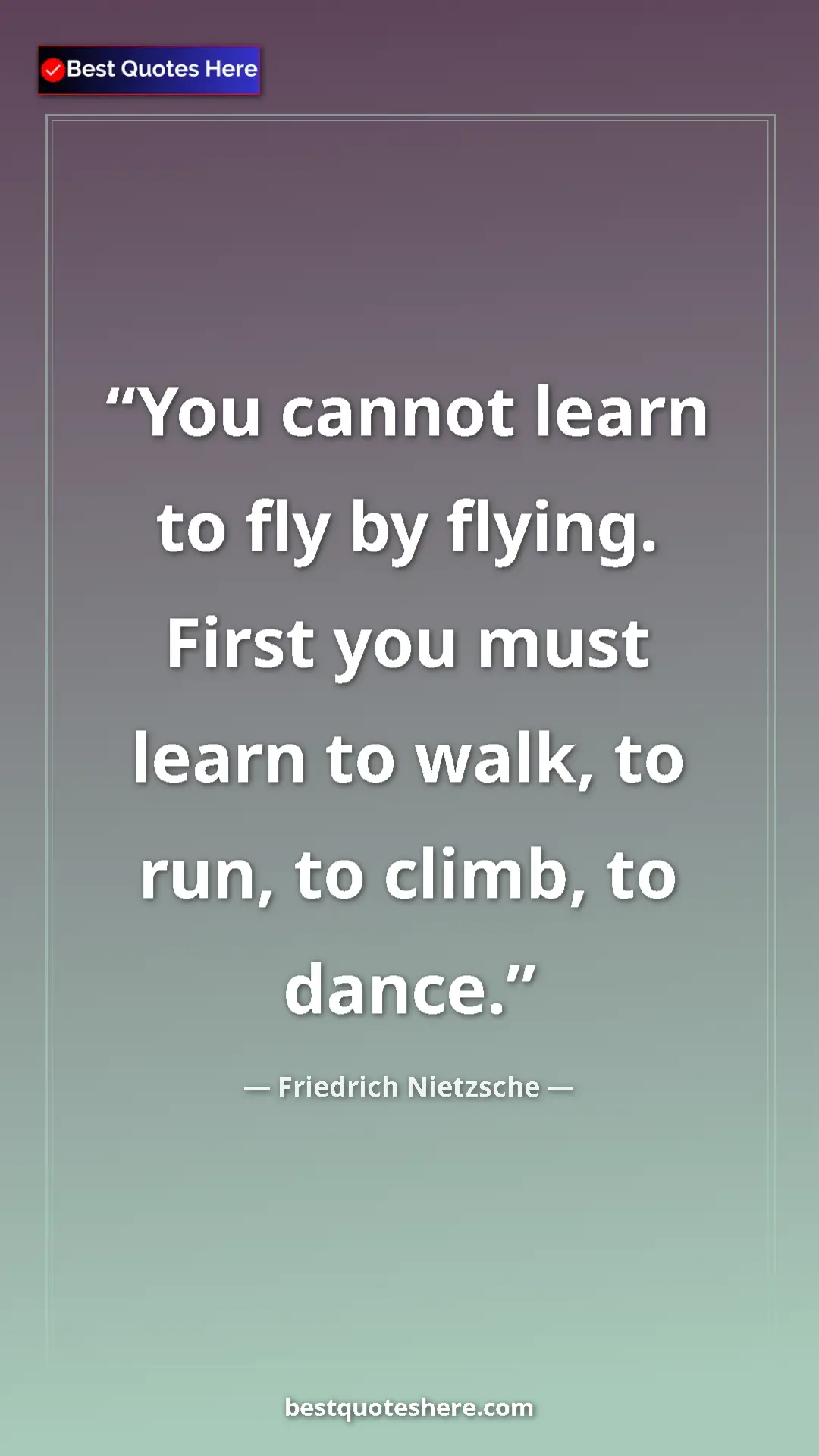Pinterest quote poster by Friedrich Nietzsche: "You cannot learn to fly by flying. First you must learn to..."