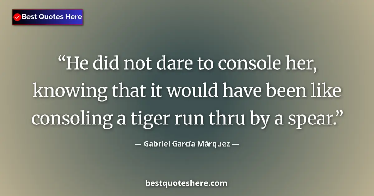 Quote by Gabriel García Márquez: He did not dare to console her, knowing that it would have been like consoling a tiger run thru by a...