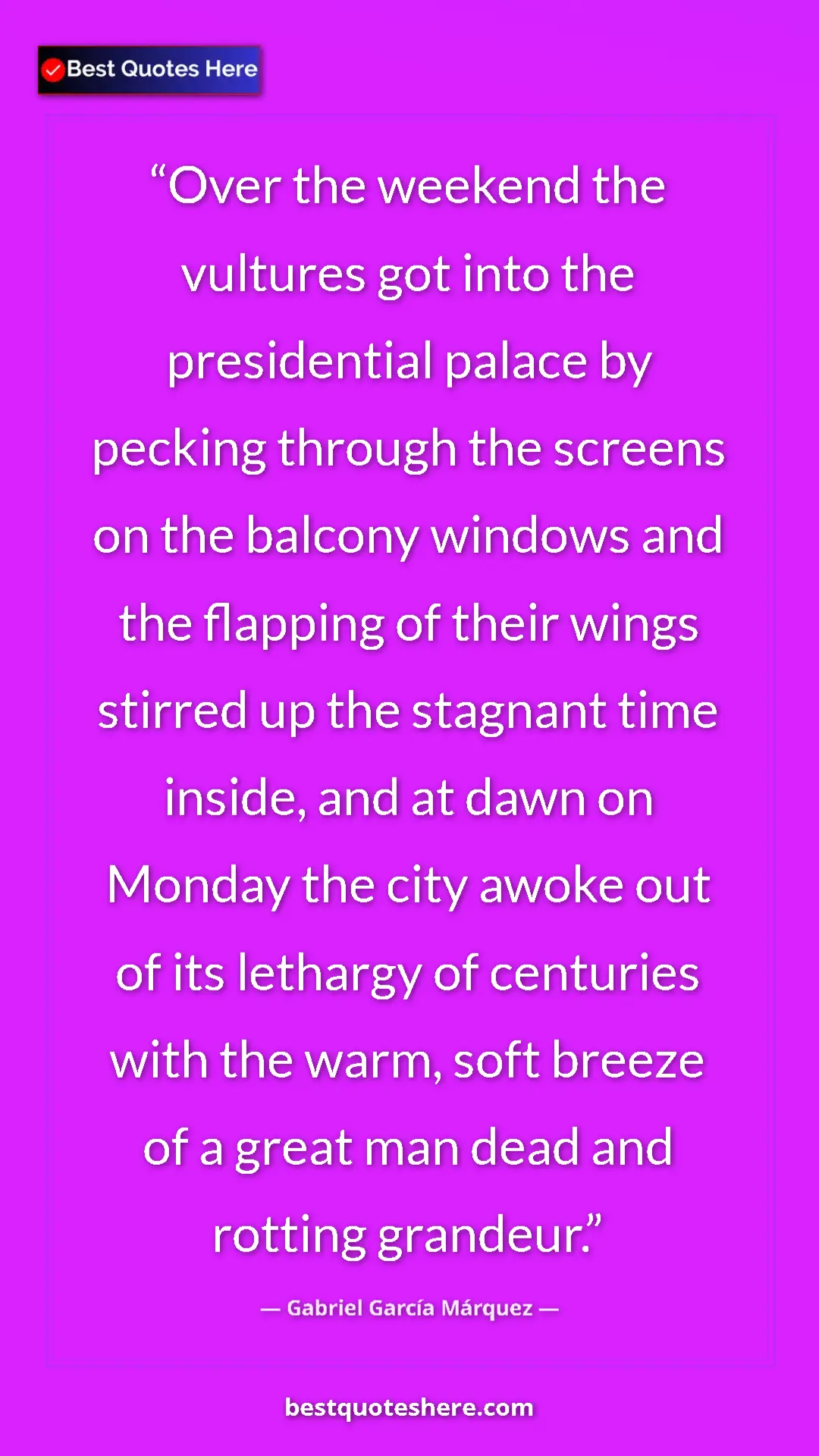 Gabriel García Márquez Quote Card: "Over the weekend the vultures got into the presidential..." Pinterest quote poster by Gabriel García Márquez: "Over the weekend the vultures got into the presidential..."