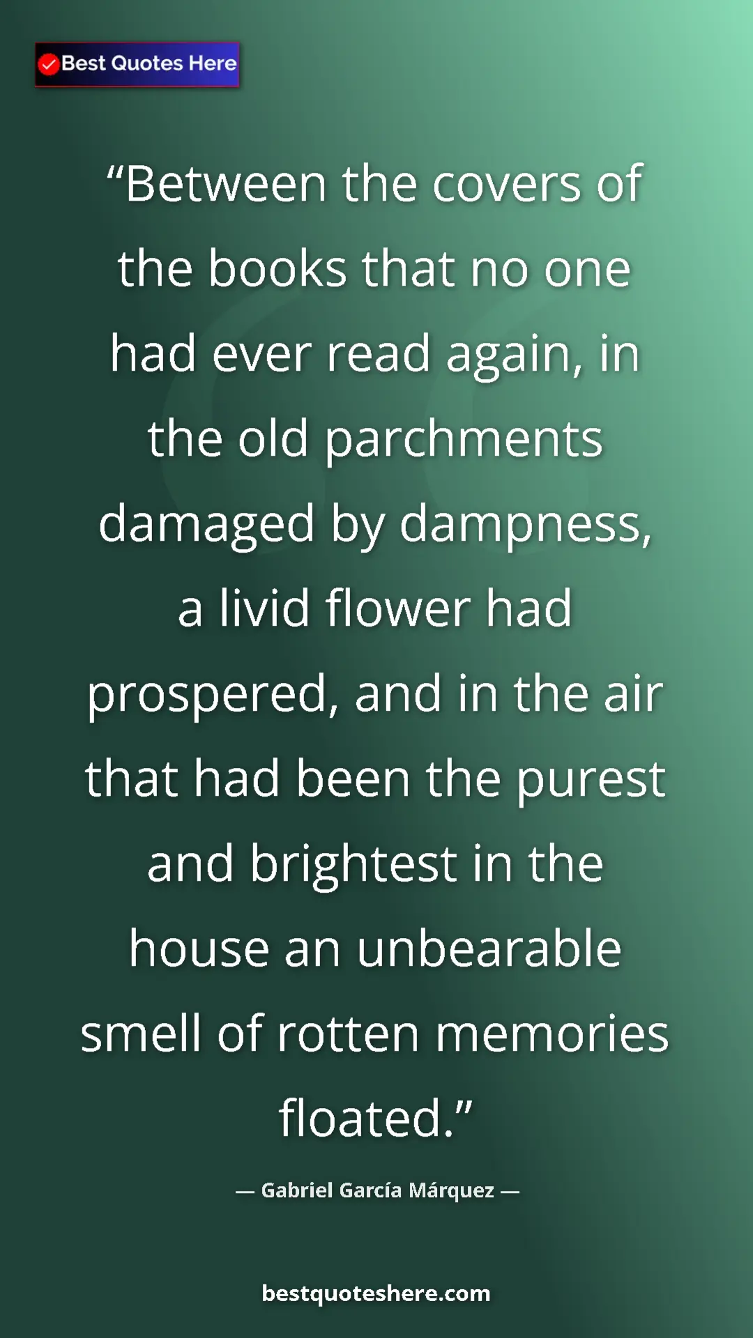 Pinterest quote poster by Gabriel García Márquez: "Between the covers of the books that no one had ever read..."