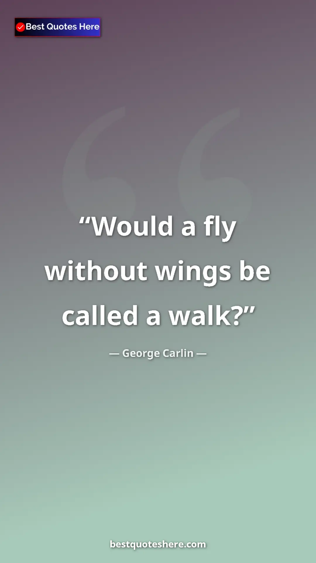 George Carlin Quote Card: "Would a fly without wings be called a walk?" Pinterest quote poster by George Carlin: "Would a fly without wings be called a walk?"
