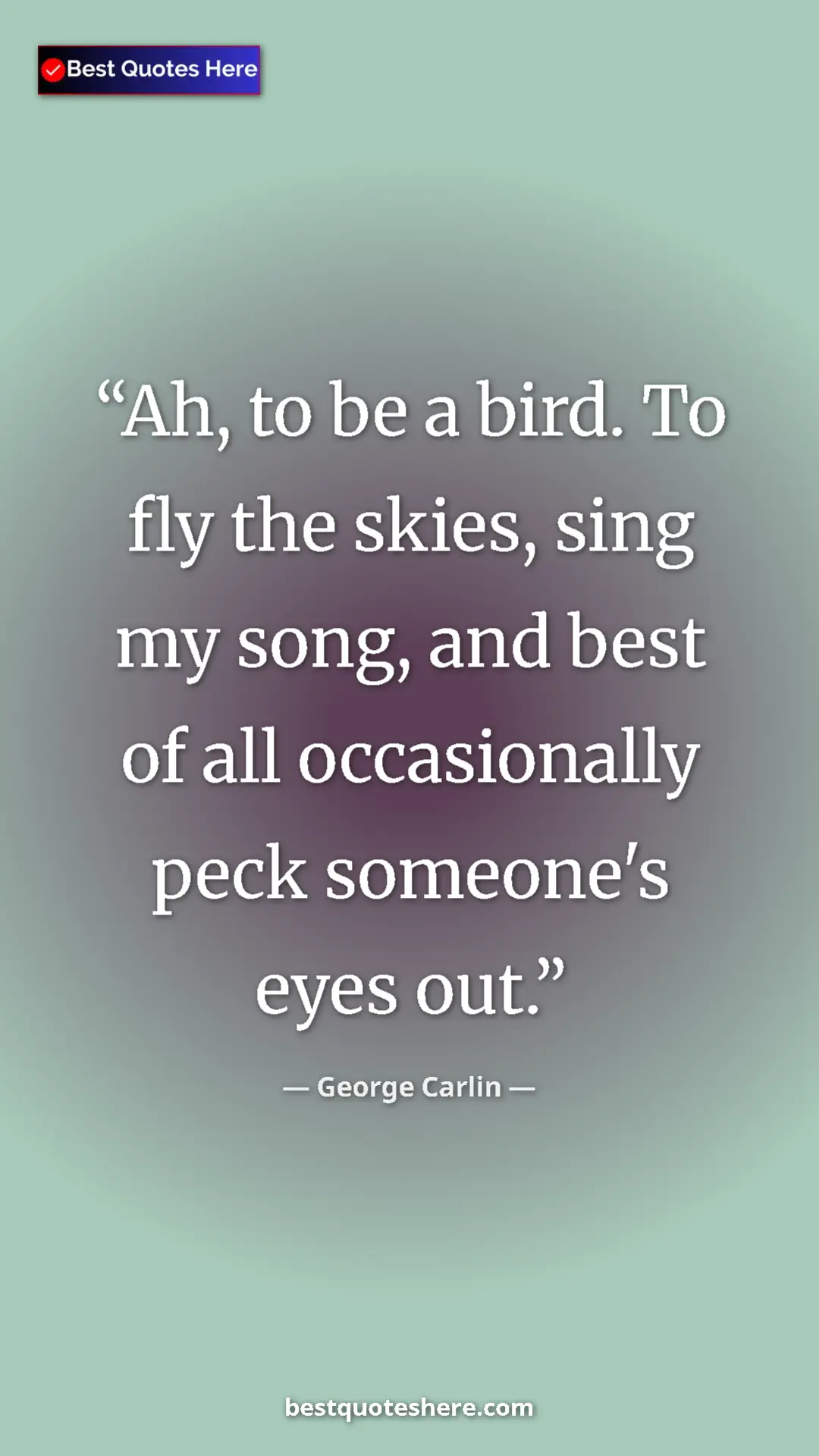 Pinterest quote poster by George Carlin: "Ah, to be a bird. To fly the skies, sing my song, and best..."