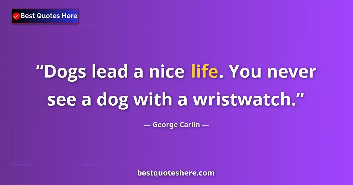 George Carlin Quote: "Dogs lead a nice life. You never see a dog with a..." George Carlin quote: "Dogs lead a nice life. You never see a dog with a..."