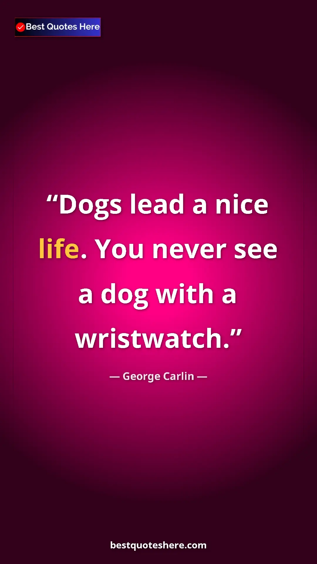 George Carlin Quote Card: "Dogs lead a nice life. You never see a dog with a..." Pinterest quote poster by George Carlin: "Dogs lead a nice life. You never see a dog with a..."