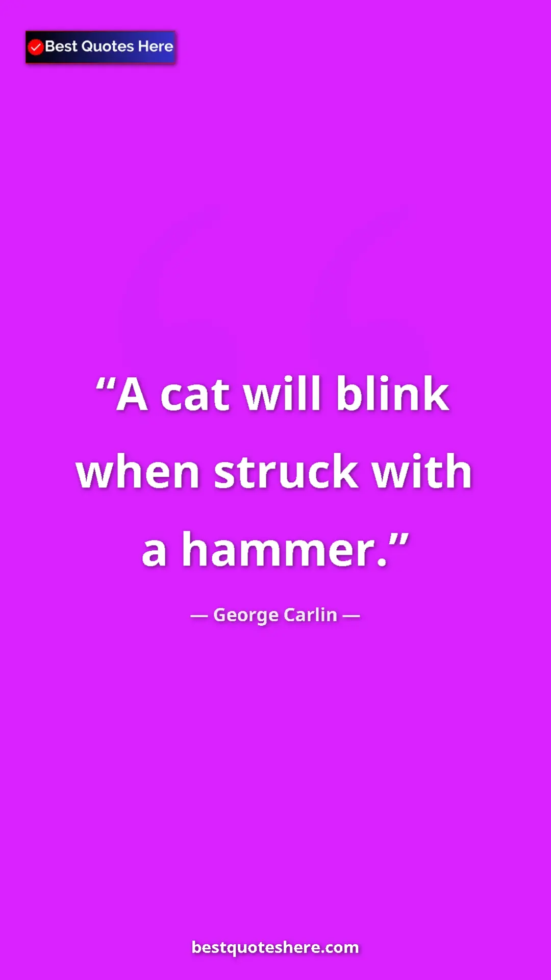 Pinterest quote poster by George Carlin: "A cat will blink when struck with a hammer."