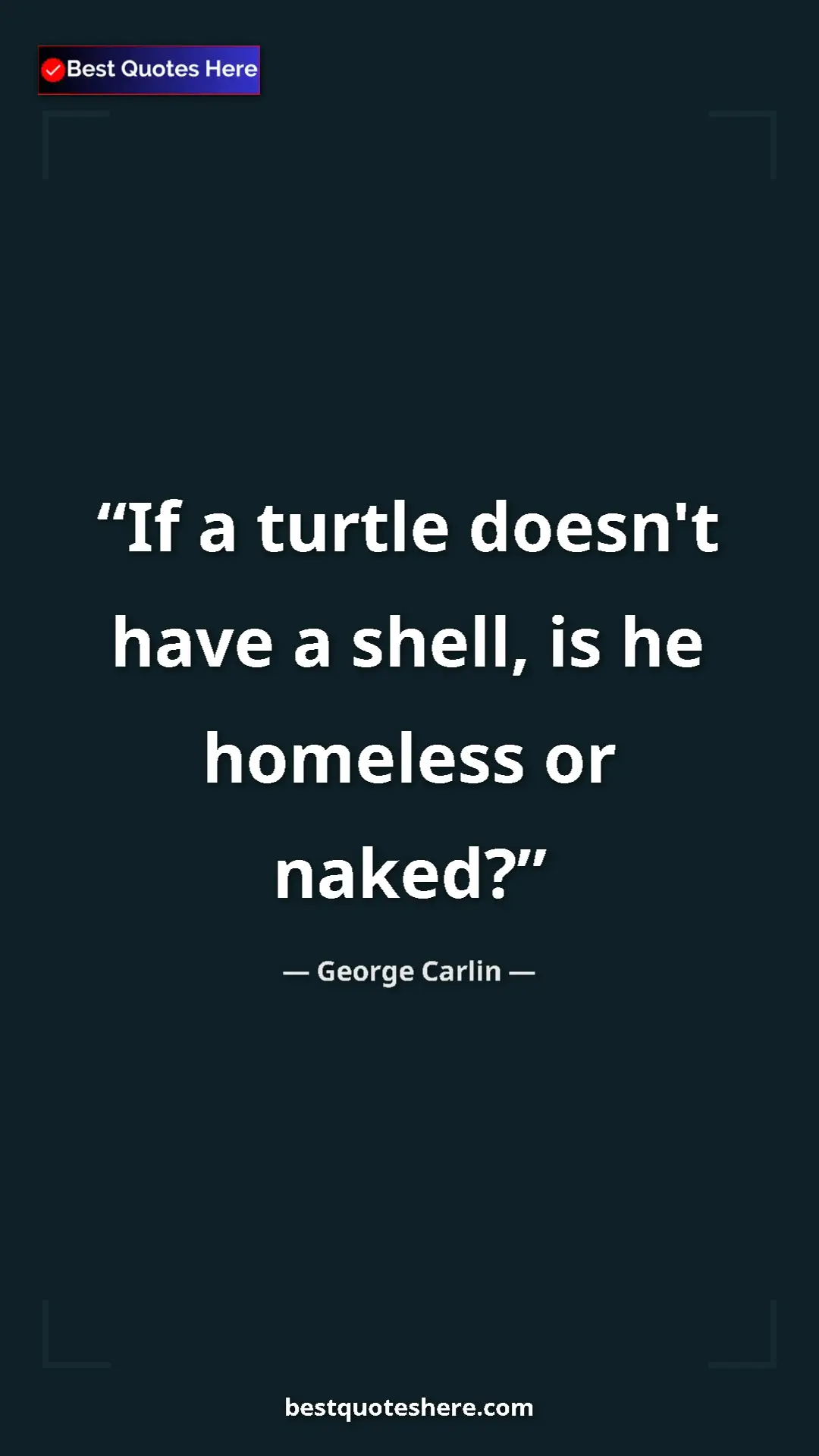 Pinterest quote poster by George Carlin: "If a turtle doesn't have a shell, is he homeless or naked?"