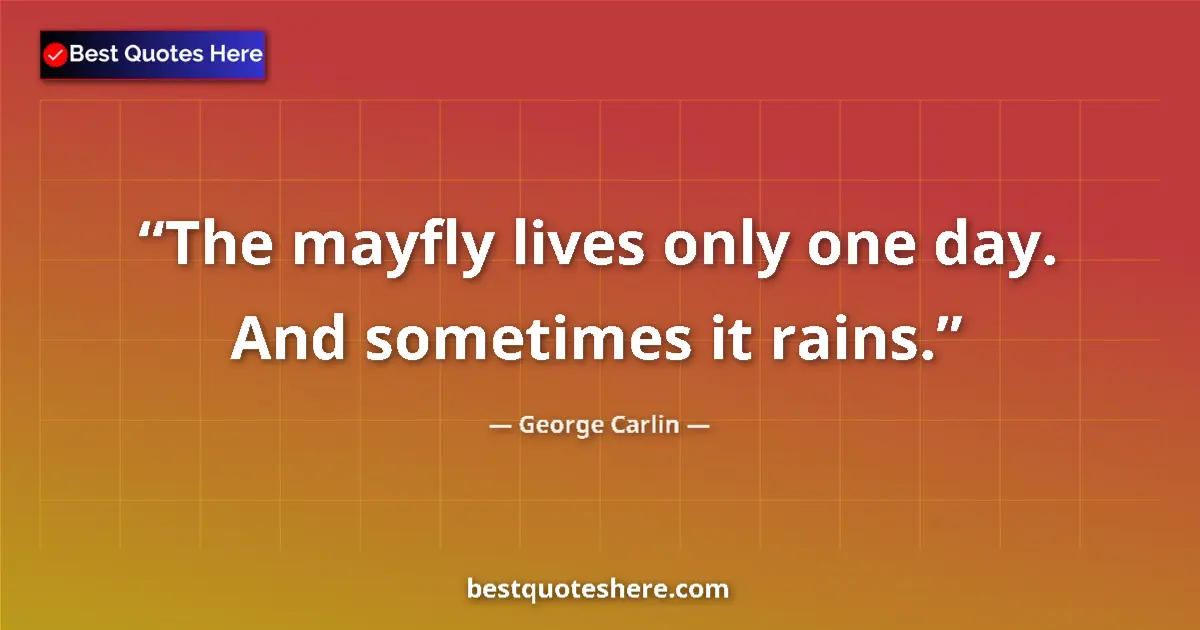 Quote by George Carlin: The mayfly lives only one day. And sometimes it ra