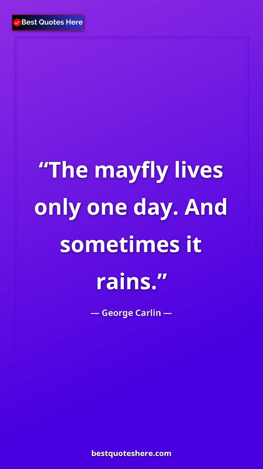 Pinterest quote poster by George Carlin: "The mayfly lives only one day. And sometimes it rains."
