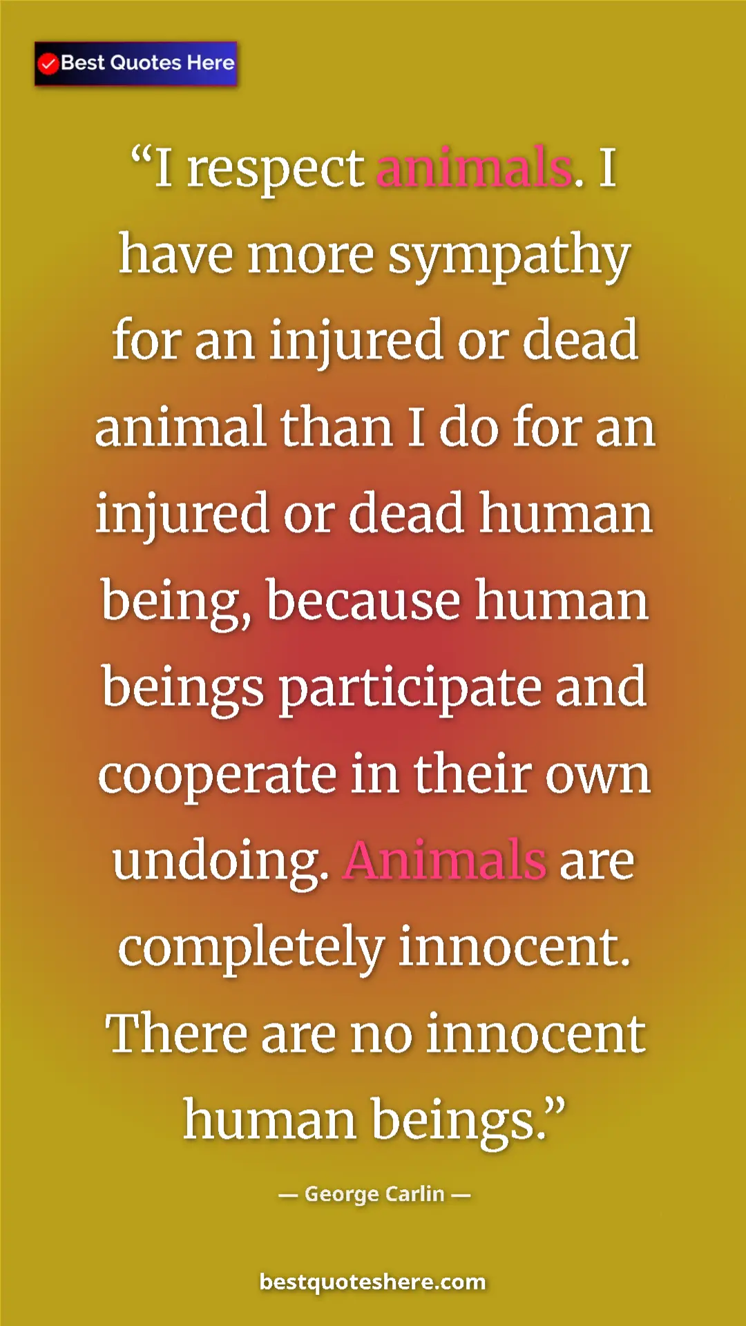 George Carlin Quote Card: "I respect animals. I have more sympathy for an injured or..." Pinterest quote poster by George Carlin: "I respect animals. I have more sympathy for an injured or..."