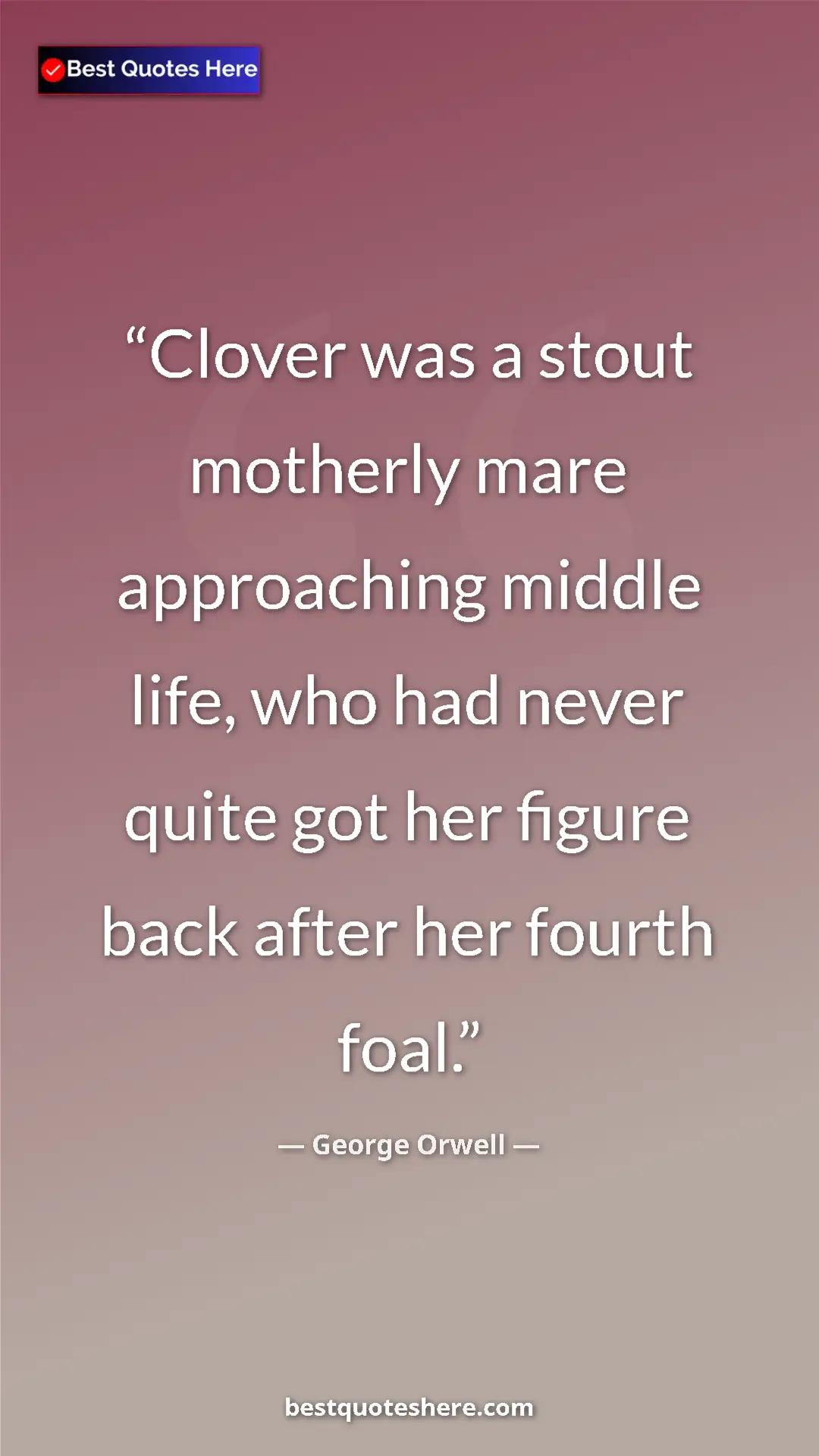 George Orwell Quote Card: "Clover was a stout motherly mare approaching middle life,..." Pinterest quote poster by George Orwell: "Clover was a stout motherly mare approaching middle life,..."