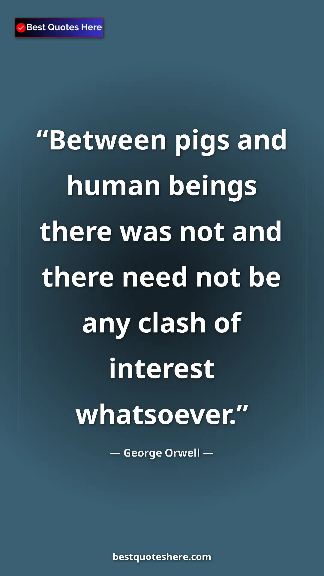 George Orwell Quote Card: "Between pigs and human beings there was not and there need..." Pinterest quote poster by George Orwell: "Between pigs and human beings there was not and there need..."