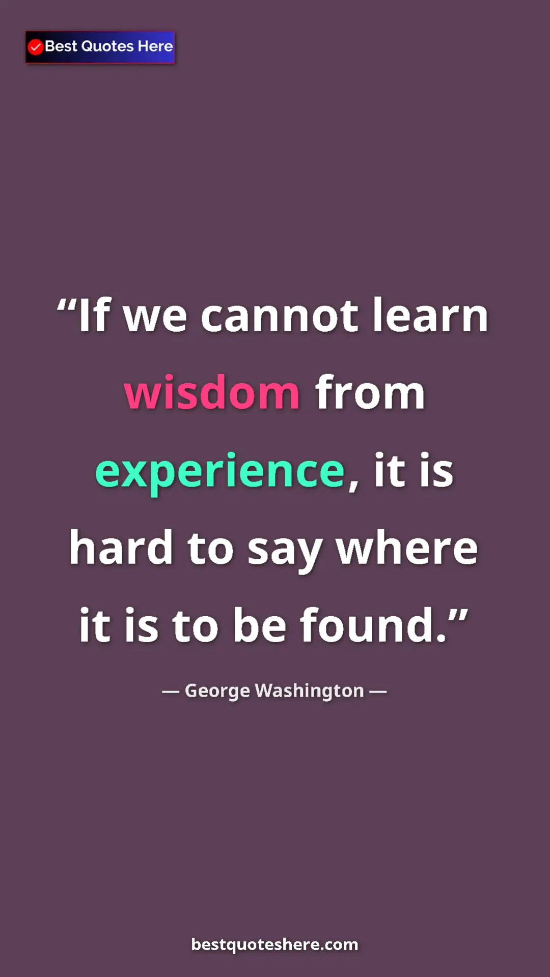 Pinterest quote poster by George Washington: "If we cannot learn wisdom from experience, it is hard to..."