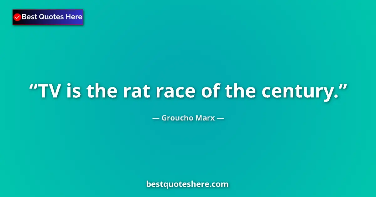 Quote by Groucho Marx: TV is the rat race of the century....