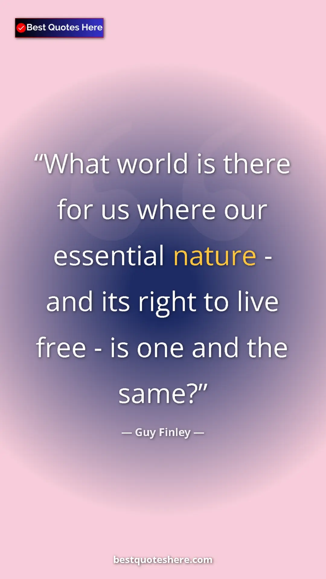 Pinterest quote poster by Guy Finley: "What world is there for us where our essential nature - and..."