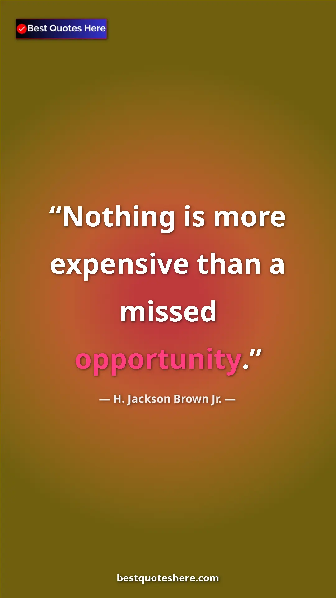 Pinterest quote poster by H. Jackson Brown Jr.: "Nothing is more expensive than a missed opportunity."